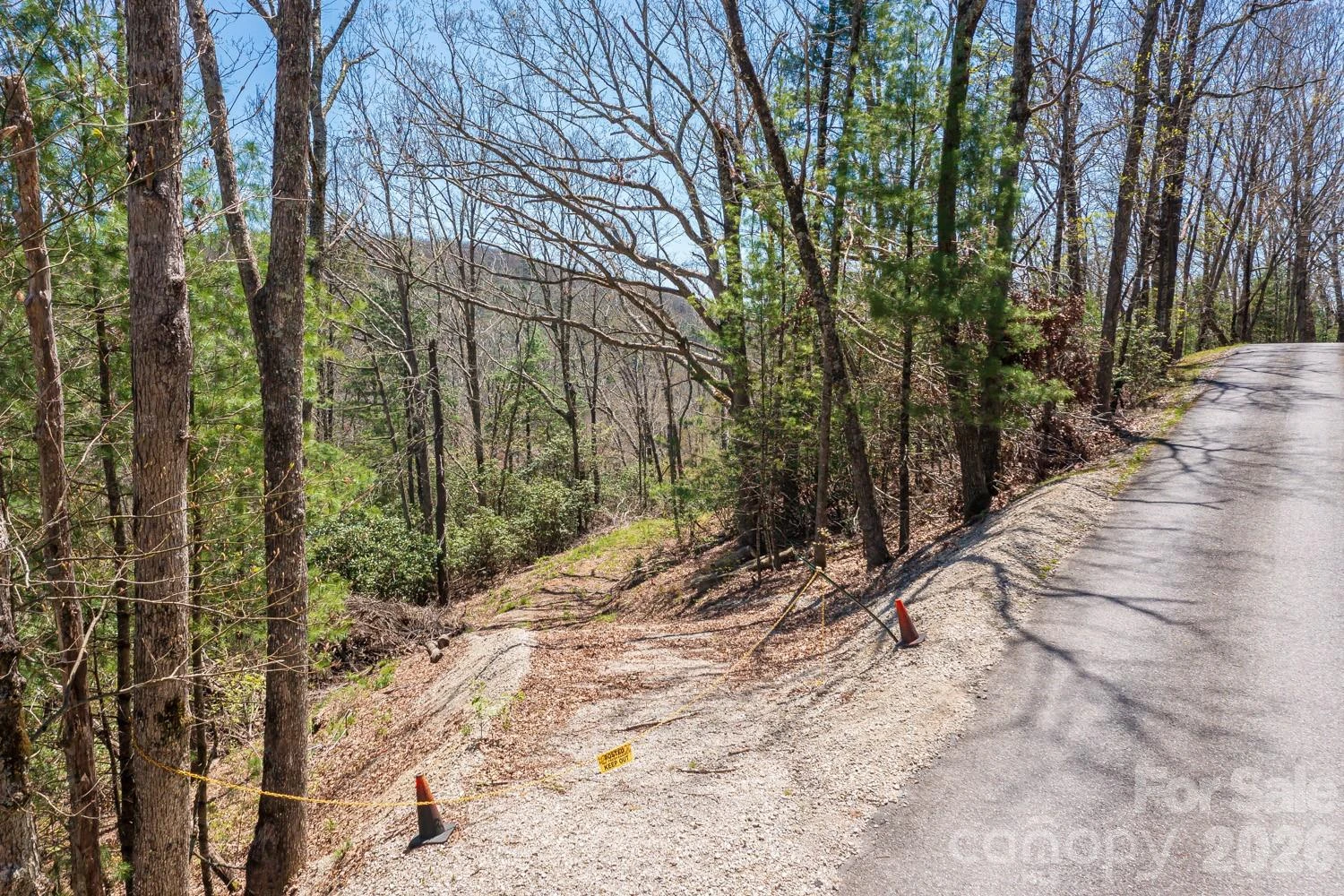 9999 Fairview Forest Drive - Photo 6