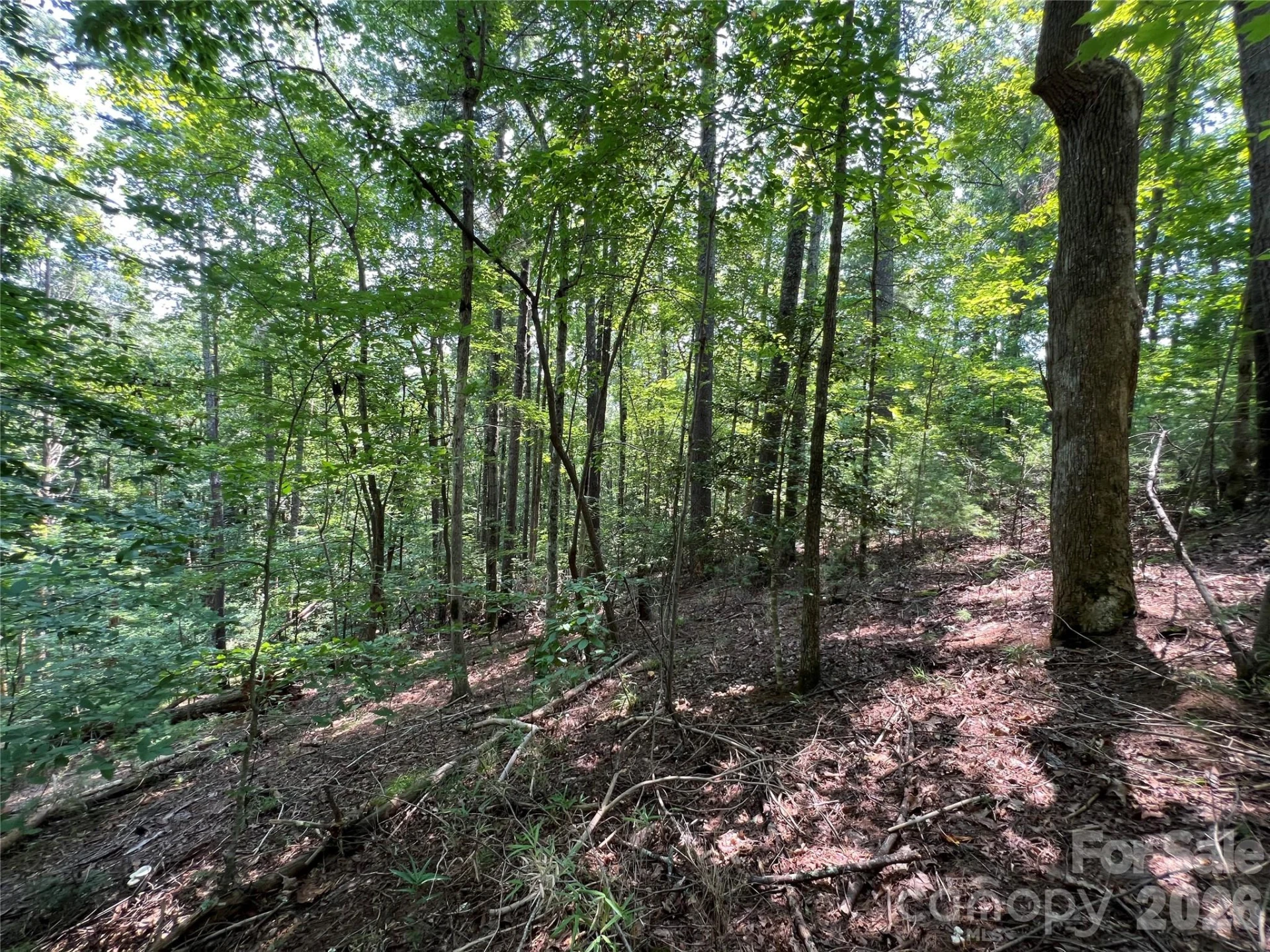 217 Larkhaven Drive #53-11 - Photo 7