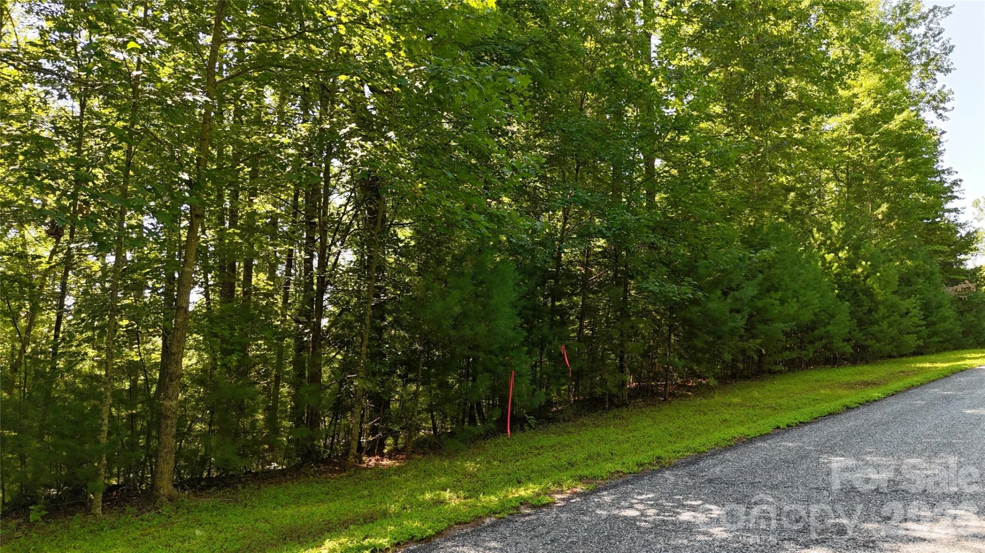217 Larkhaven Drive #53-11 - Photo 4