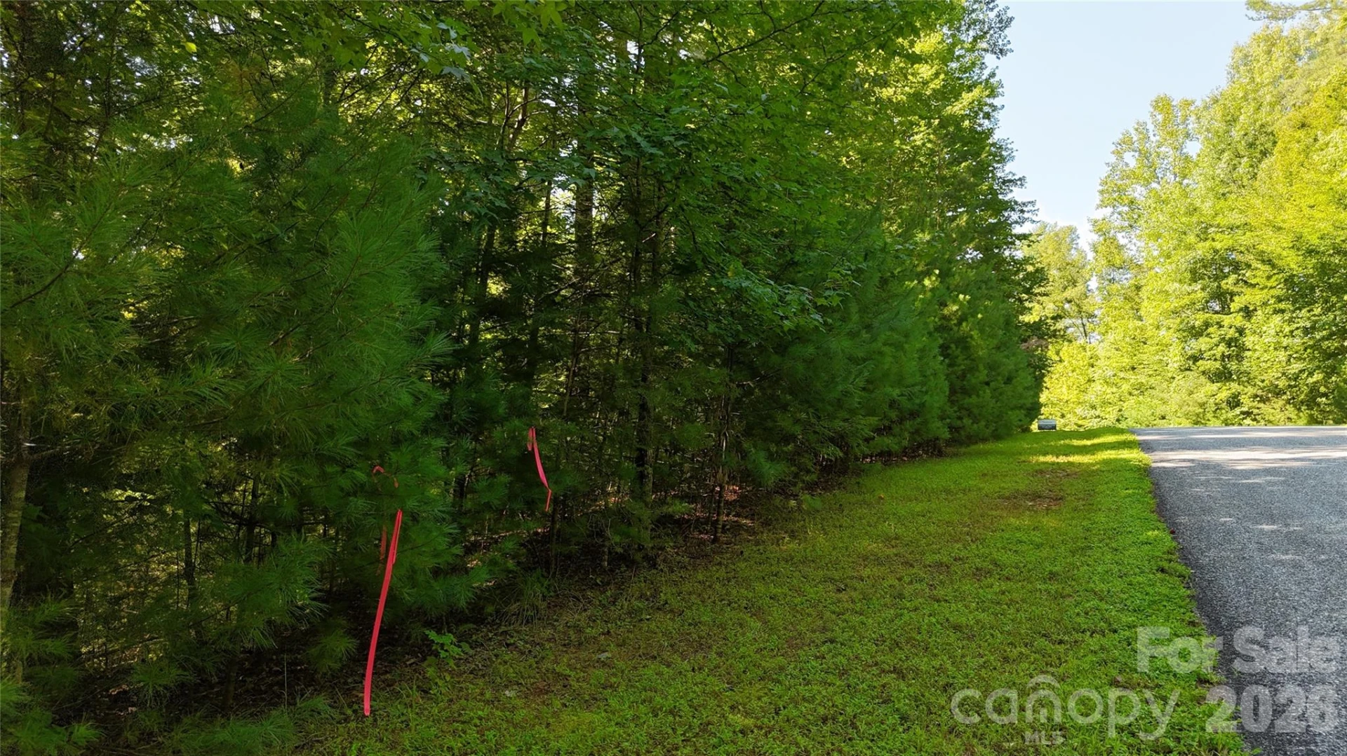 217 Larkhaven Drive #53-11 - Photo 6