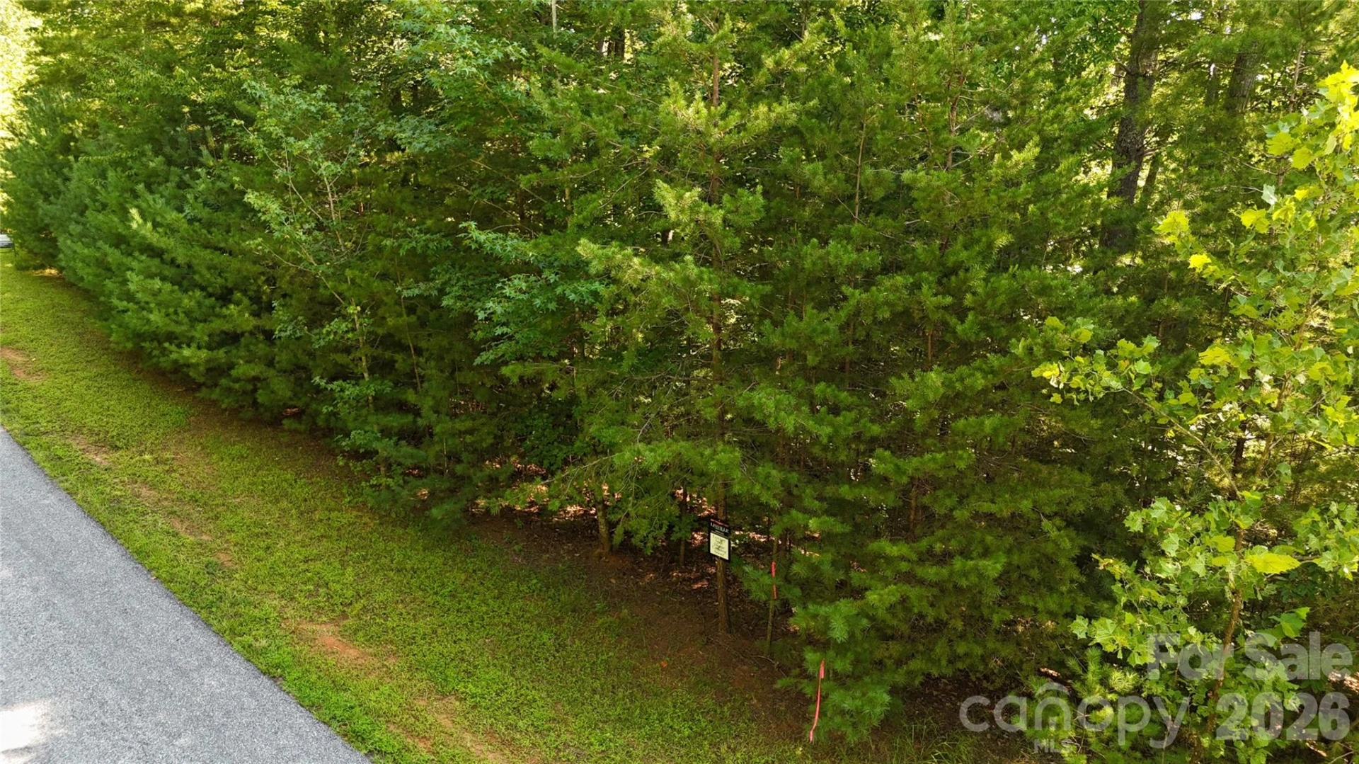 217 Larkhaven Drive #53-11 - Photo 8