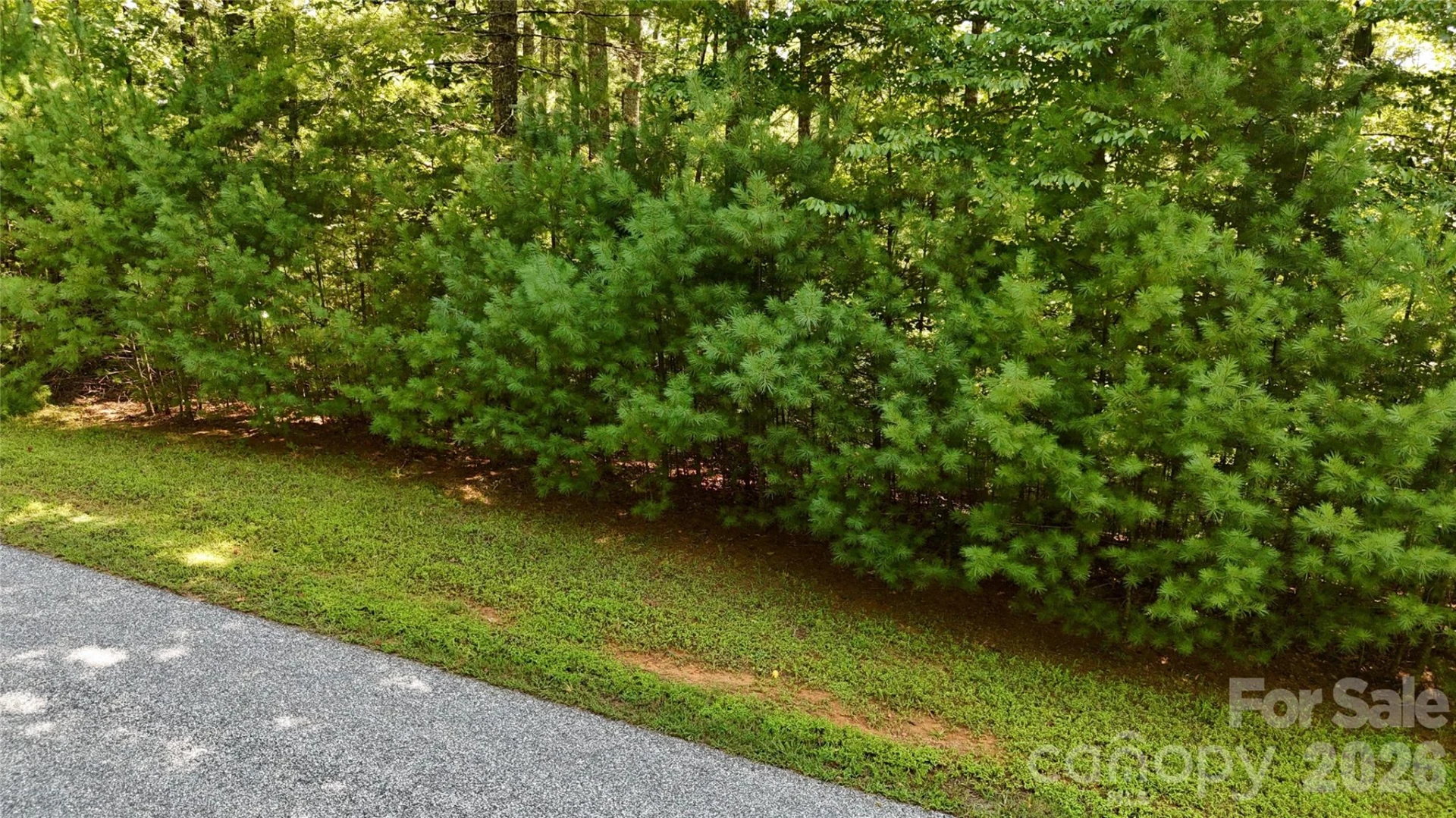 217 Larkhaven Drive #53-11 - Photo 14