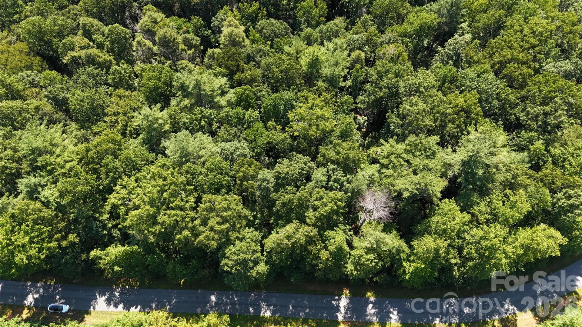 217 Larkhaven Drive #53-11 - Photo 27