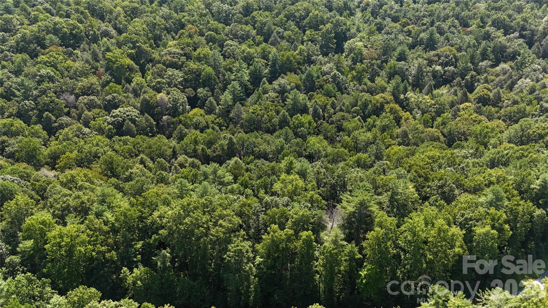 217 Larkhaven Drive #53-11 - Photo 28