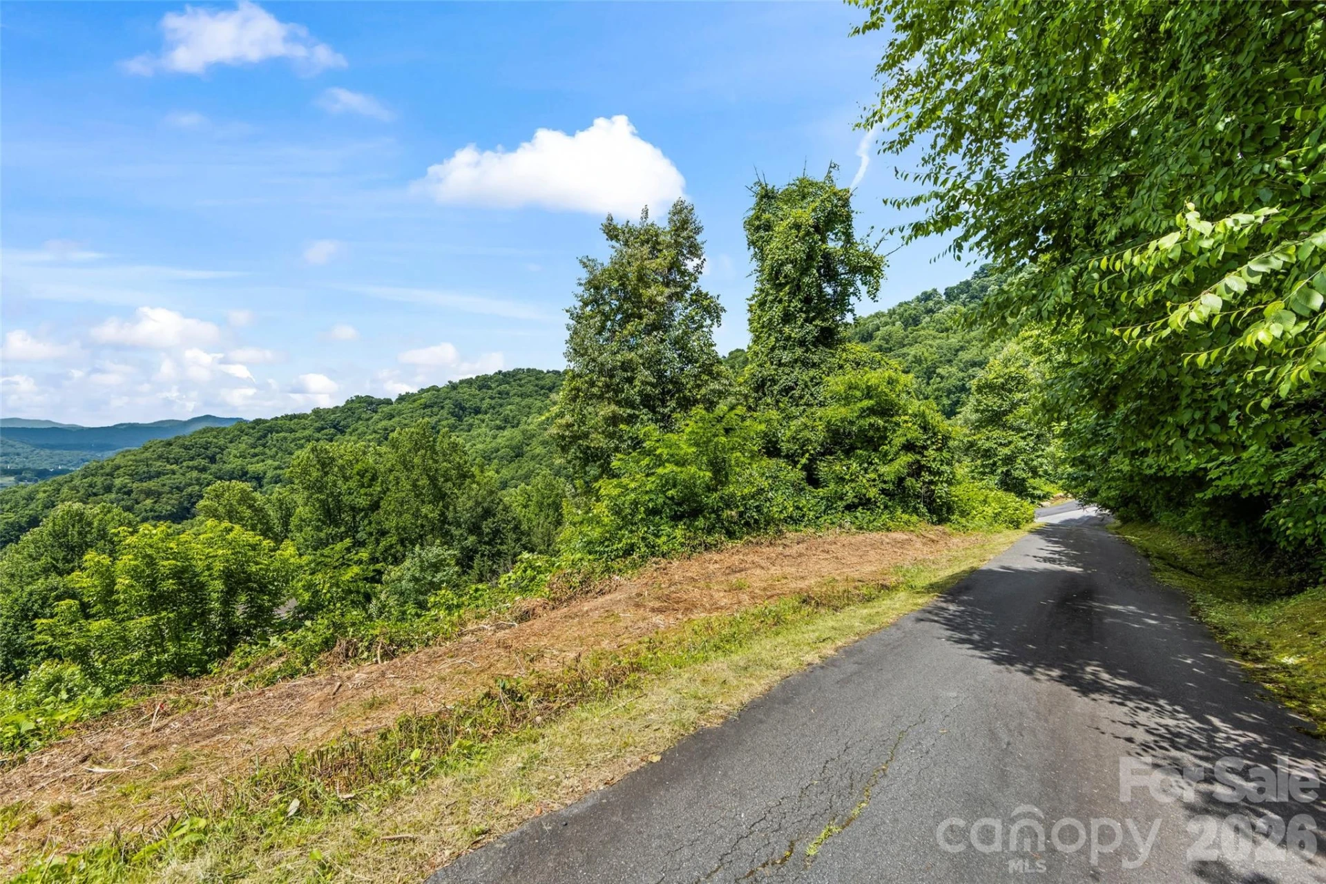 lot#36 Fern Brook Drive - Photo 12