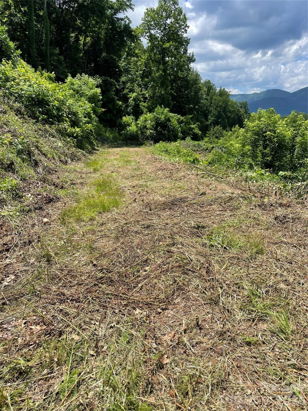 lot#36 Fern Brook Drive - Photo 15