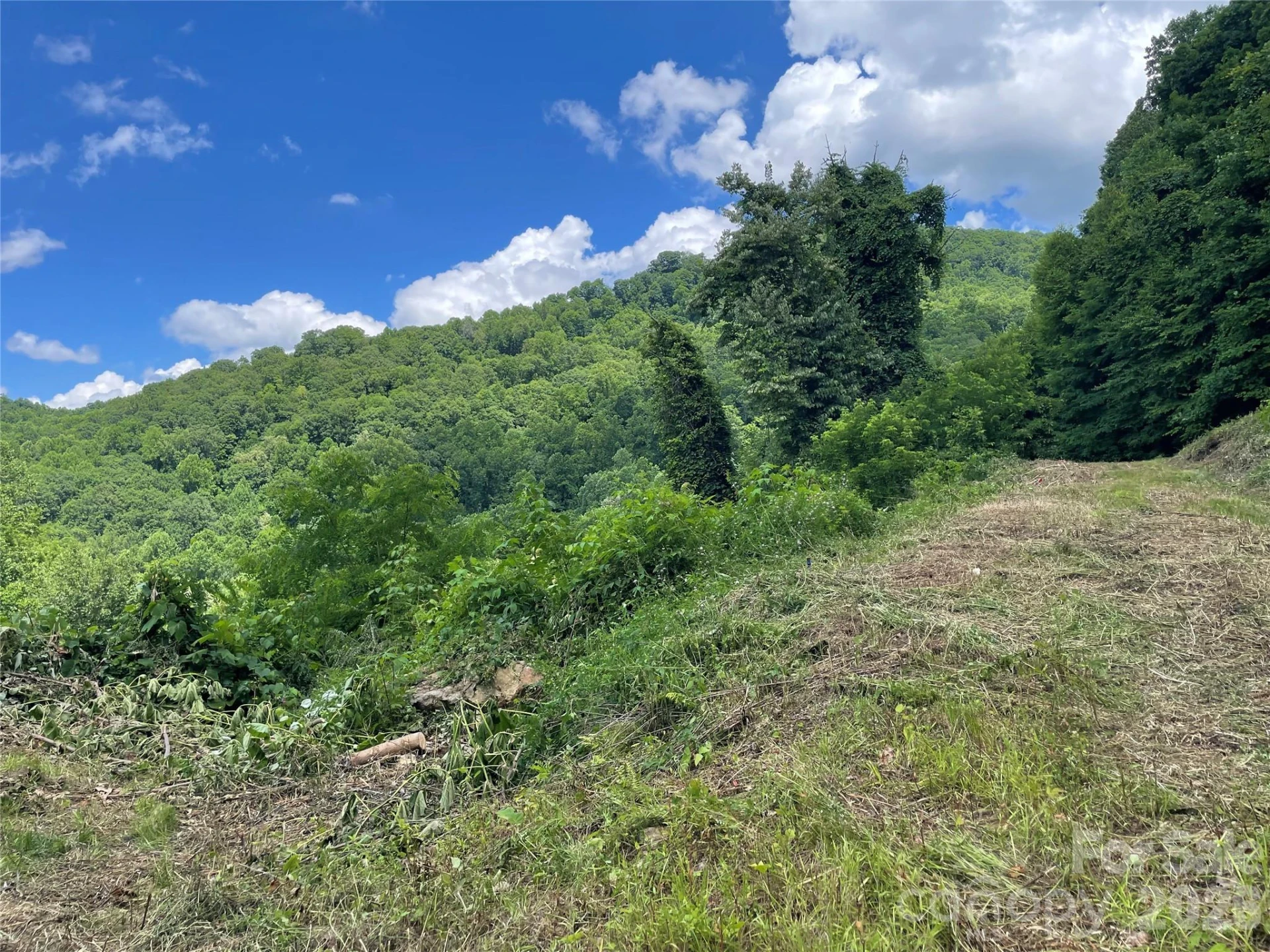 lot#36 Fern Brook Drive - Photo 21
