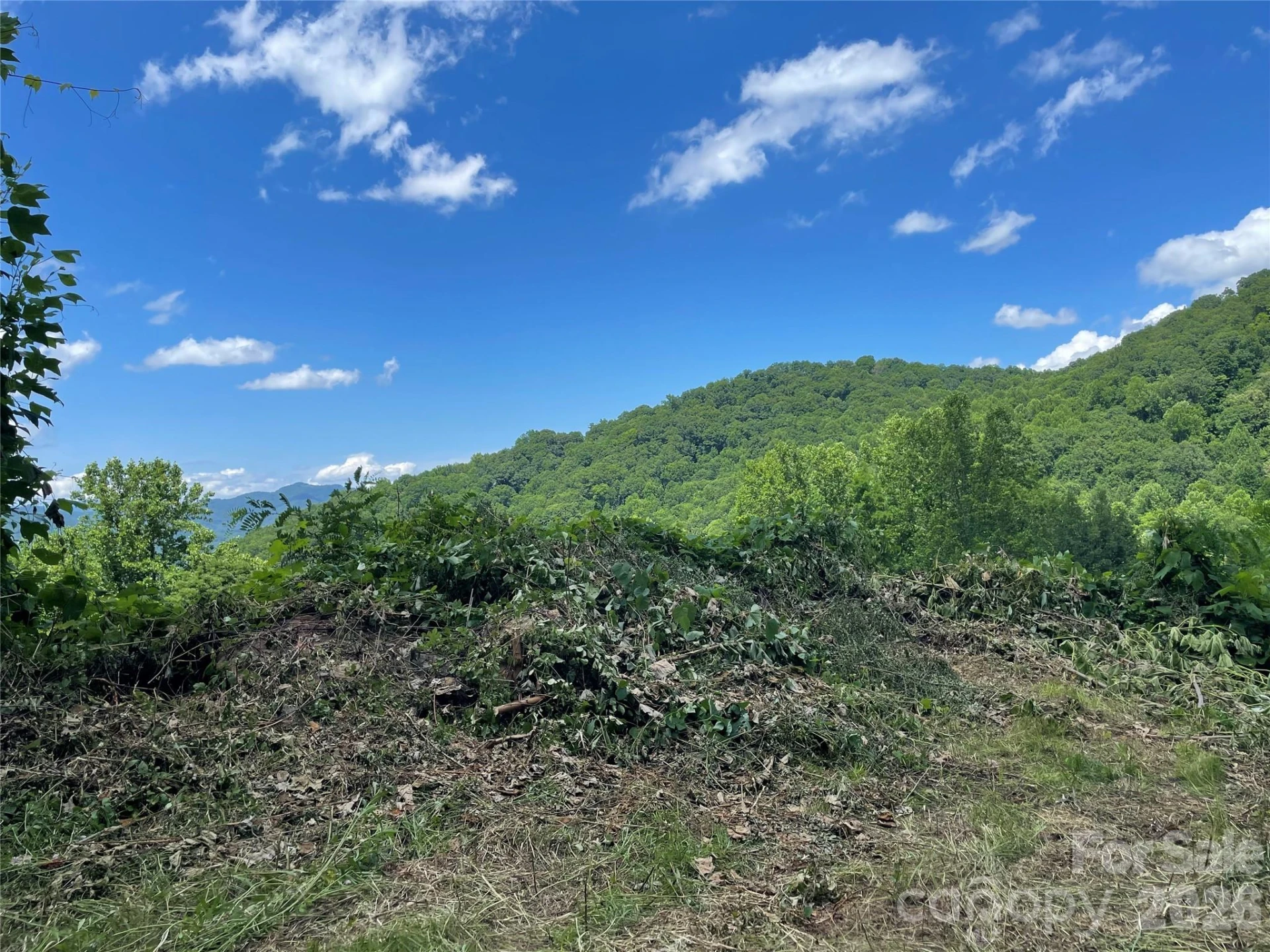 lot#36 Fern Brook Drive - Photo 22