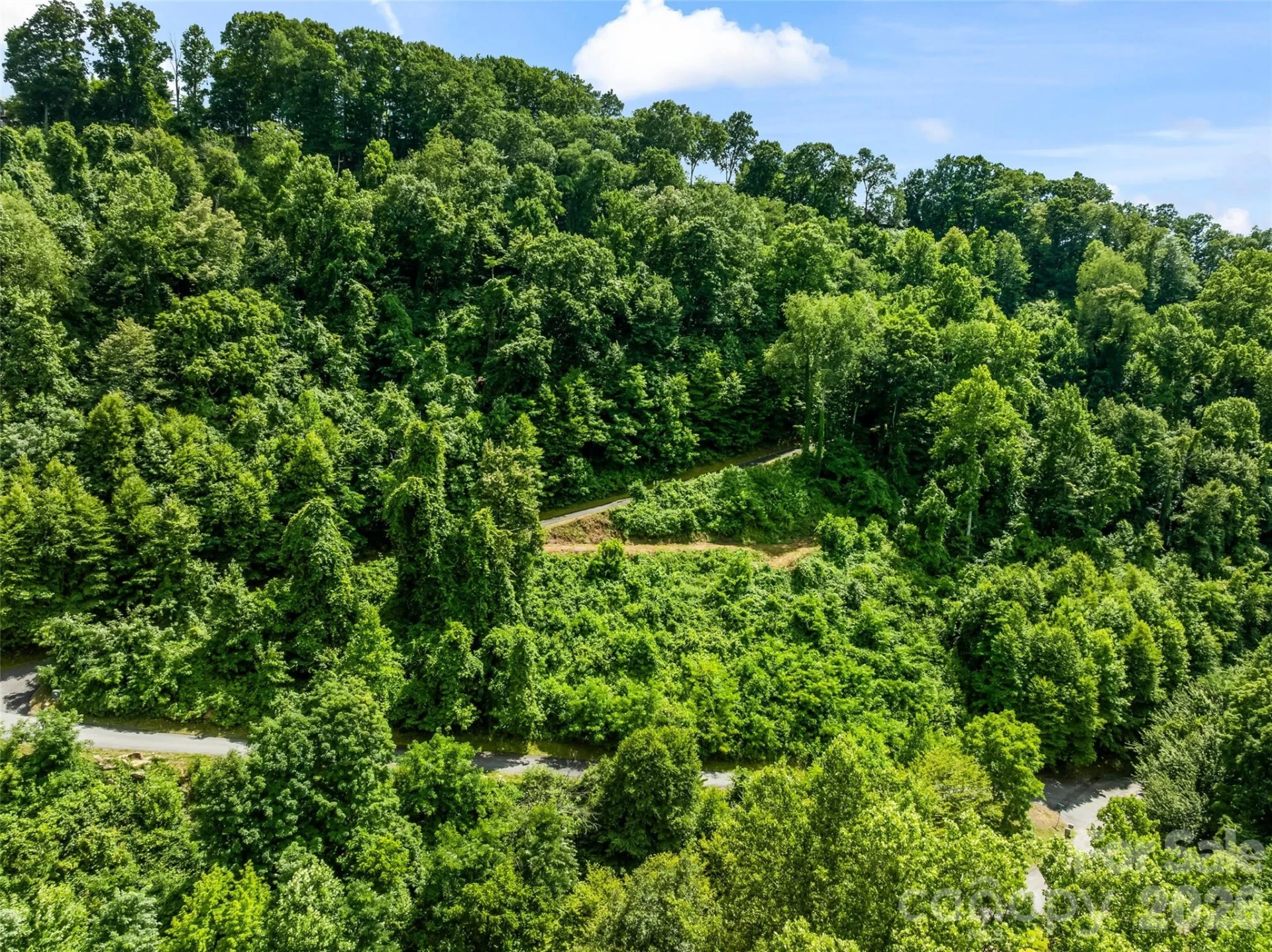 lot#36 Fern Brook Drive - Photo 9