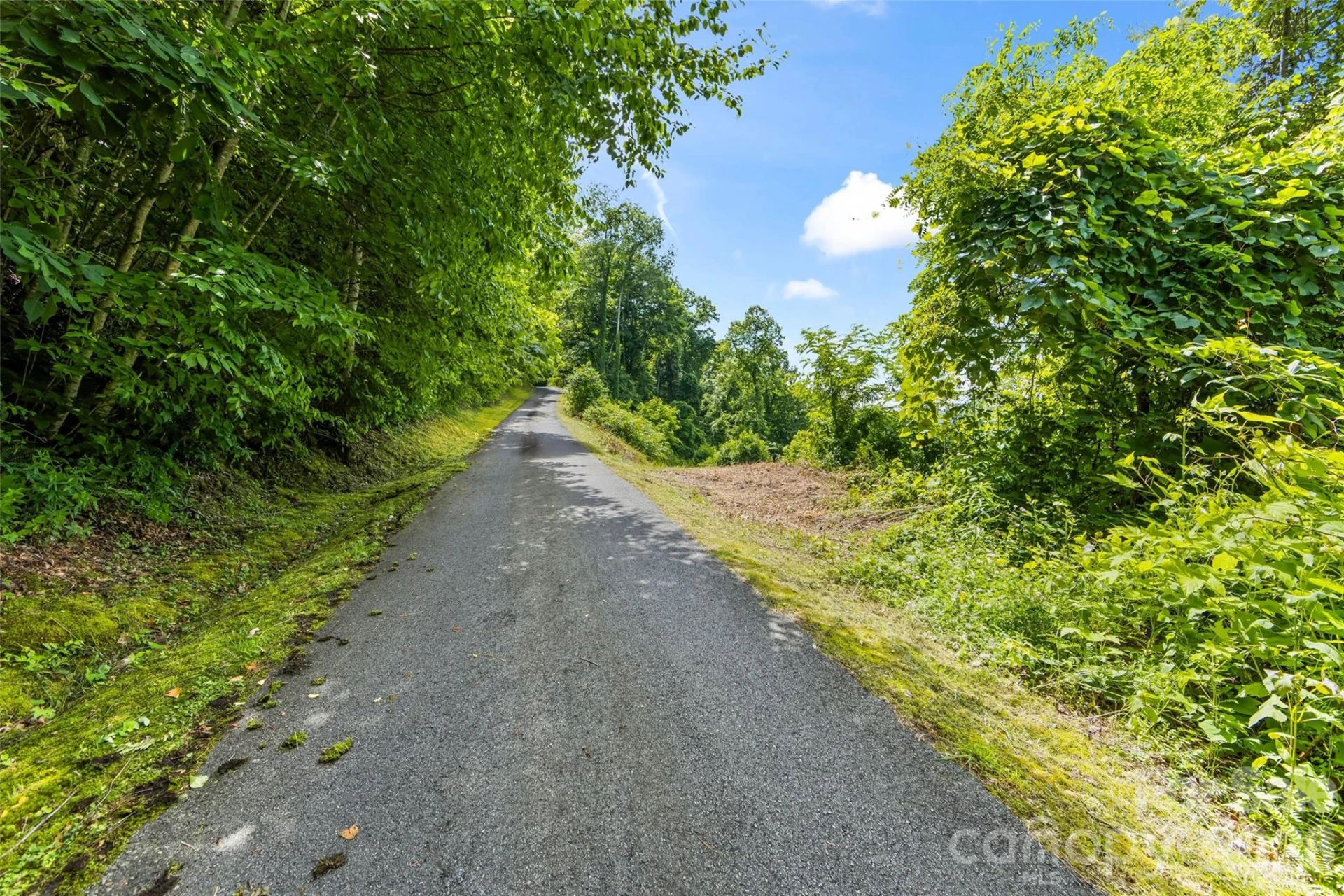 lot#36 Fern Brook Drive - Photo 10