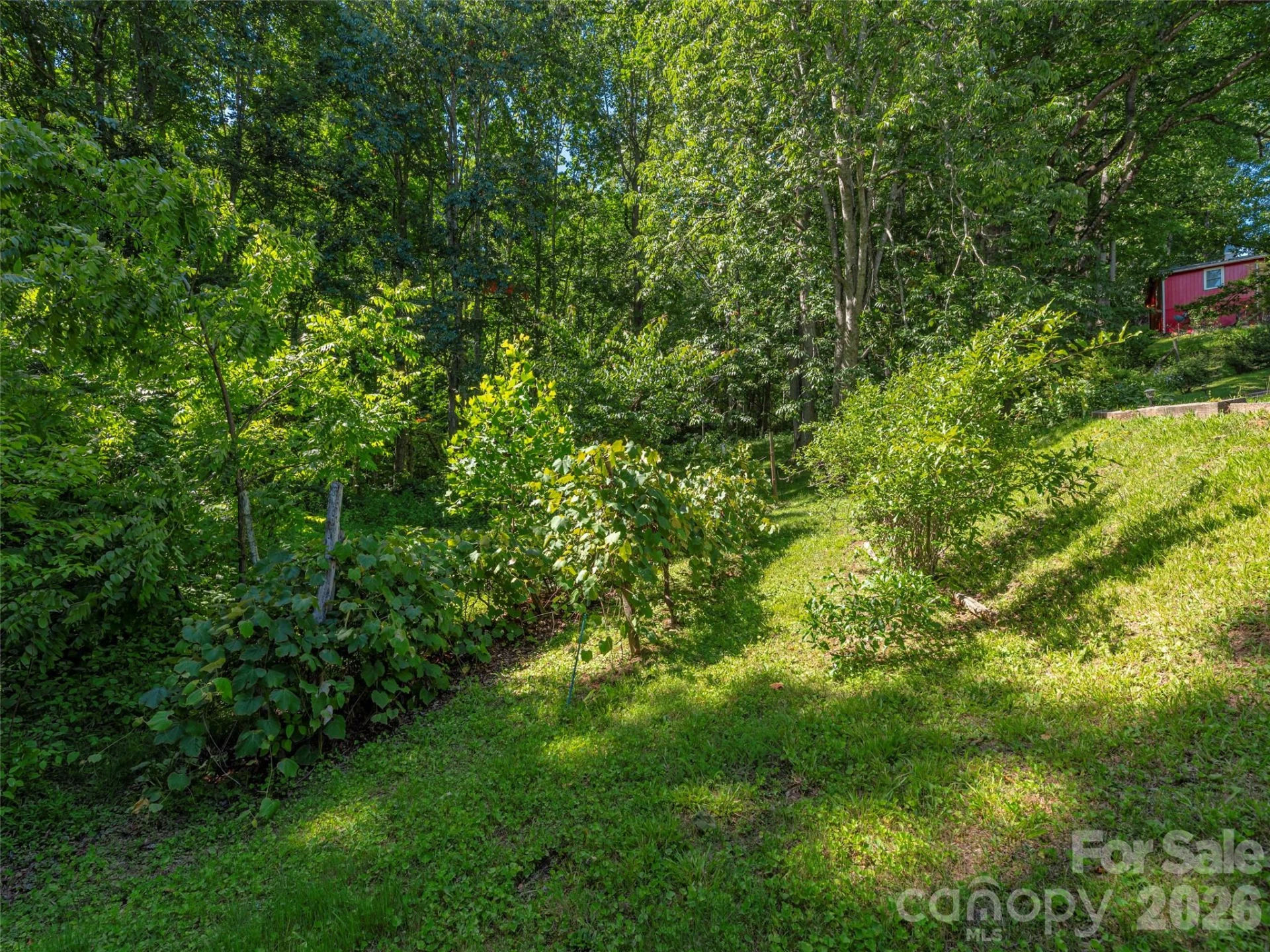 1575 Red Maple Drive - Photo 31