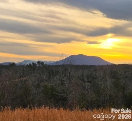 LOT #1 Price Summit Way, Mill Spring, NC, 28756