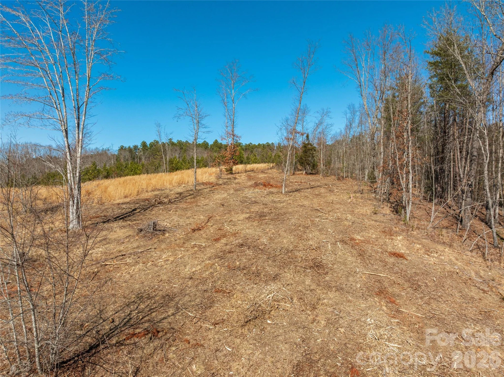 LOT #1 Price Summit Way - Photo 13