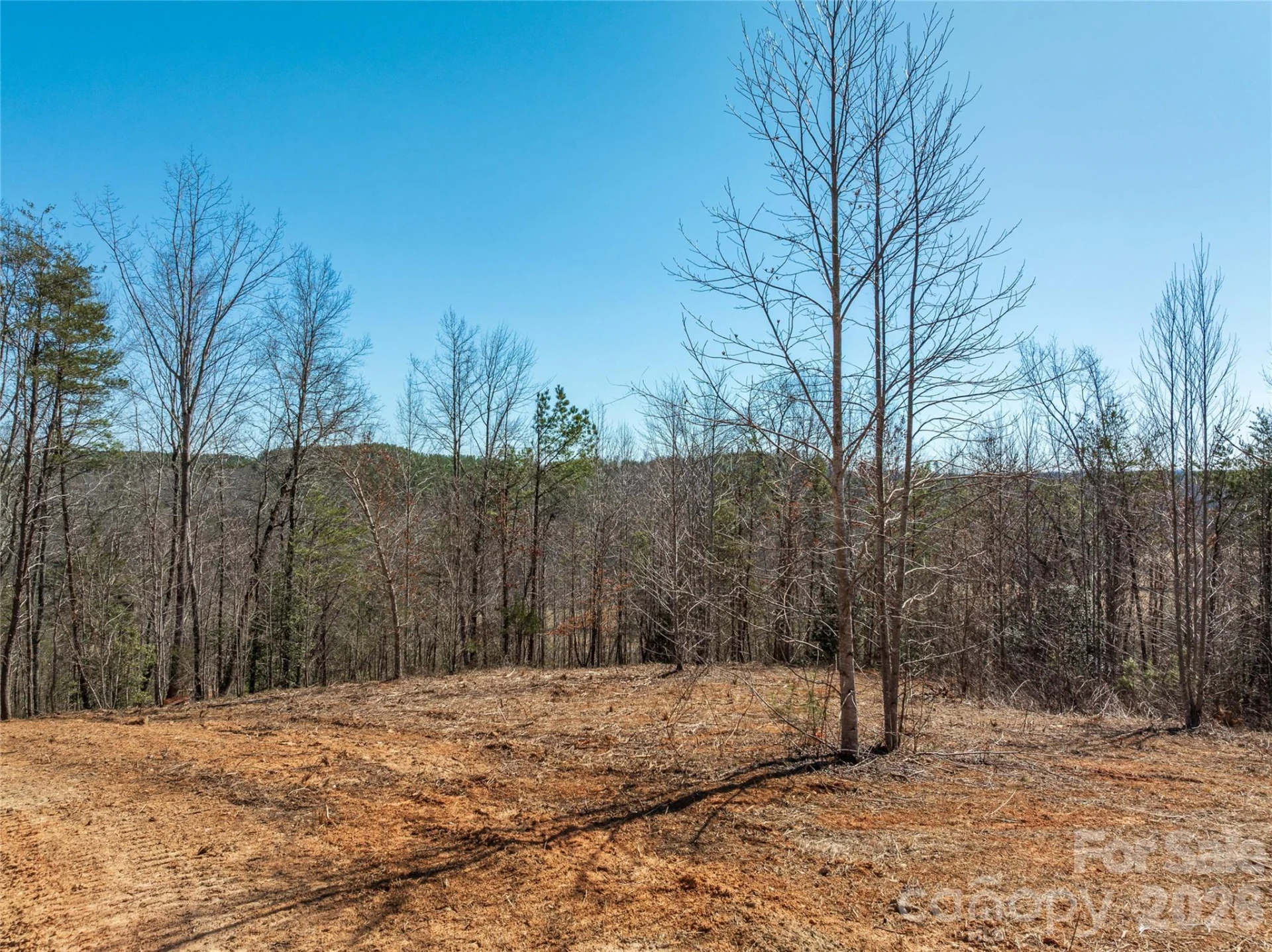LOT #1 Price Summit Way - Photo 14