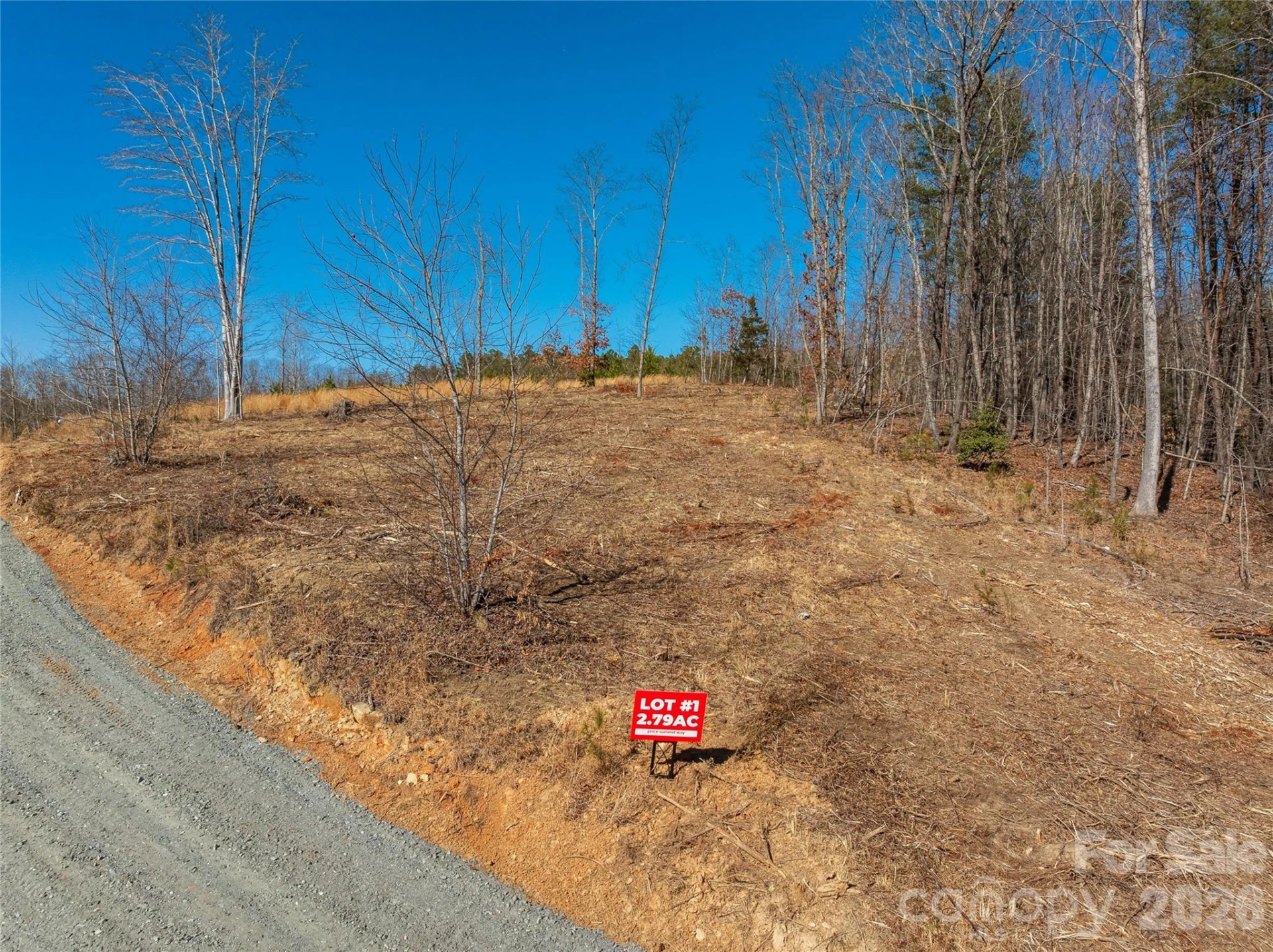 LOT #1 Price Summit Way - Photo 4