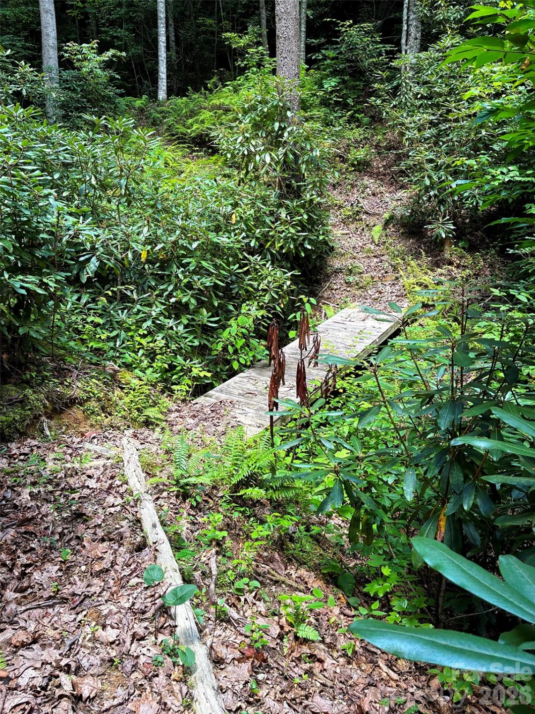 707 Cascade Trail - Photo 46