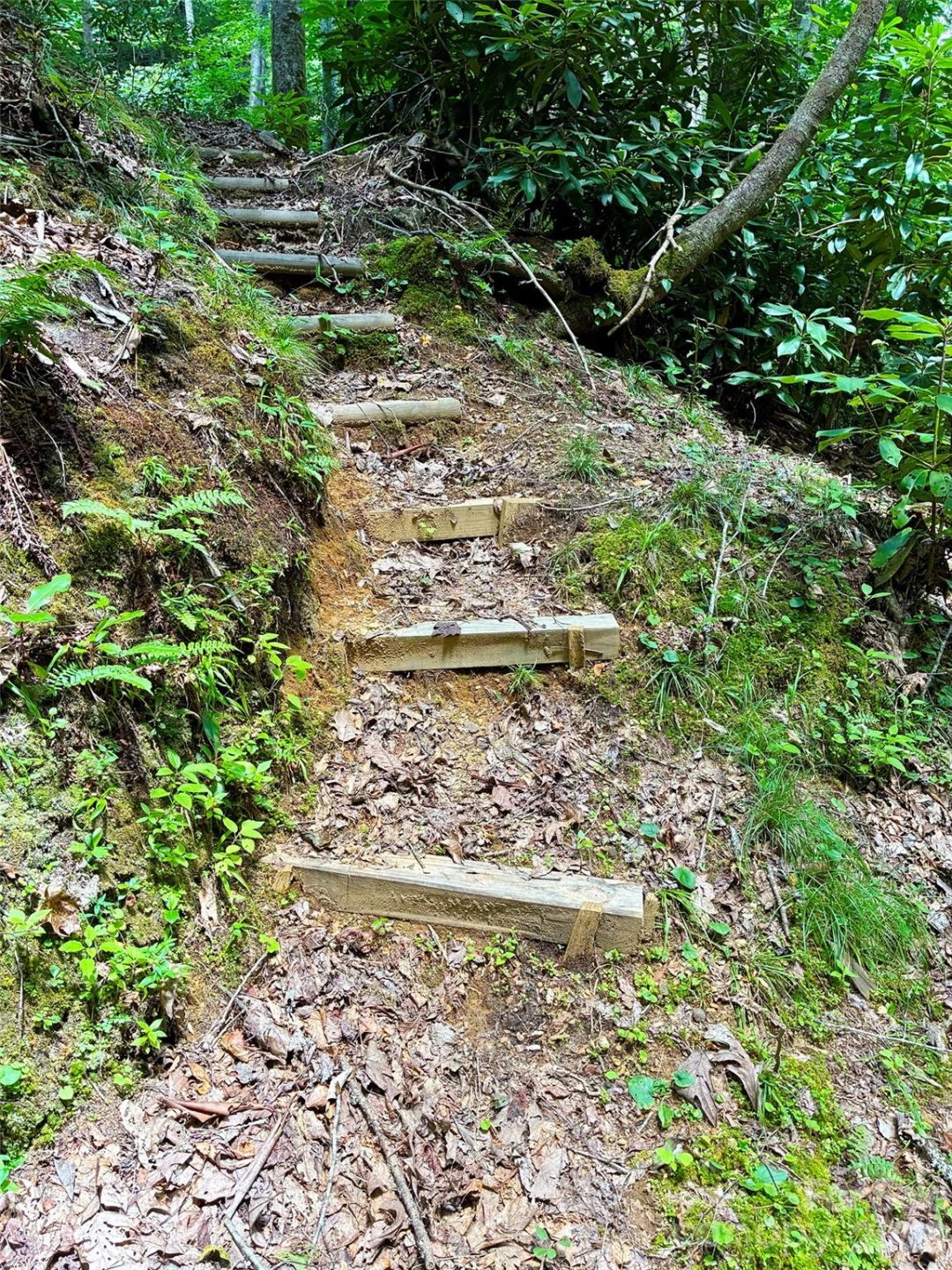 707 Cascade Trail - Photo 47