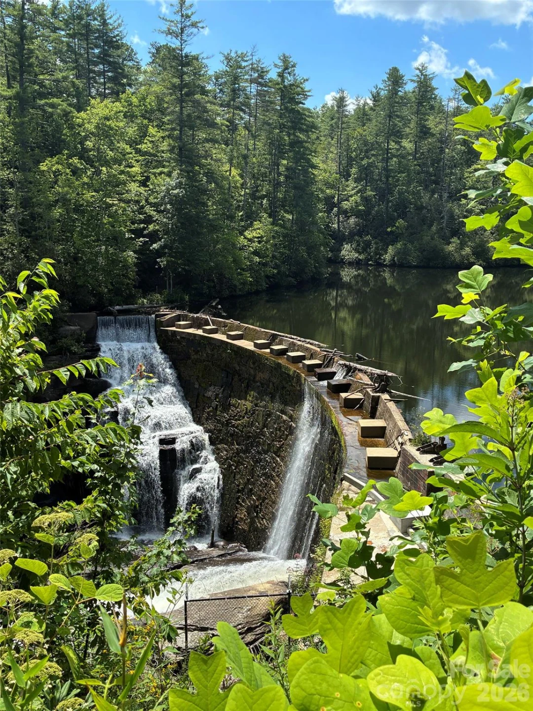 707 Cascade Trail - Photo 48