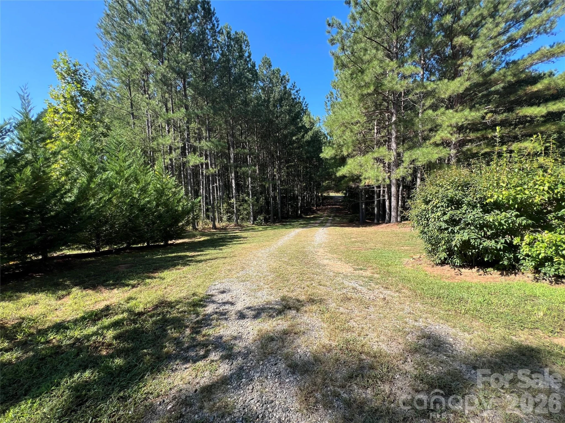 651 Dills Road - Photo 7