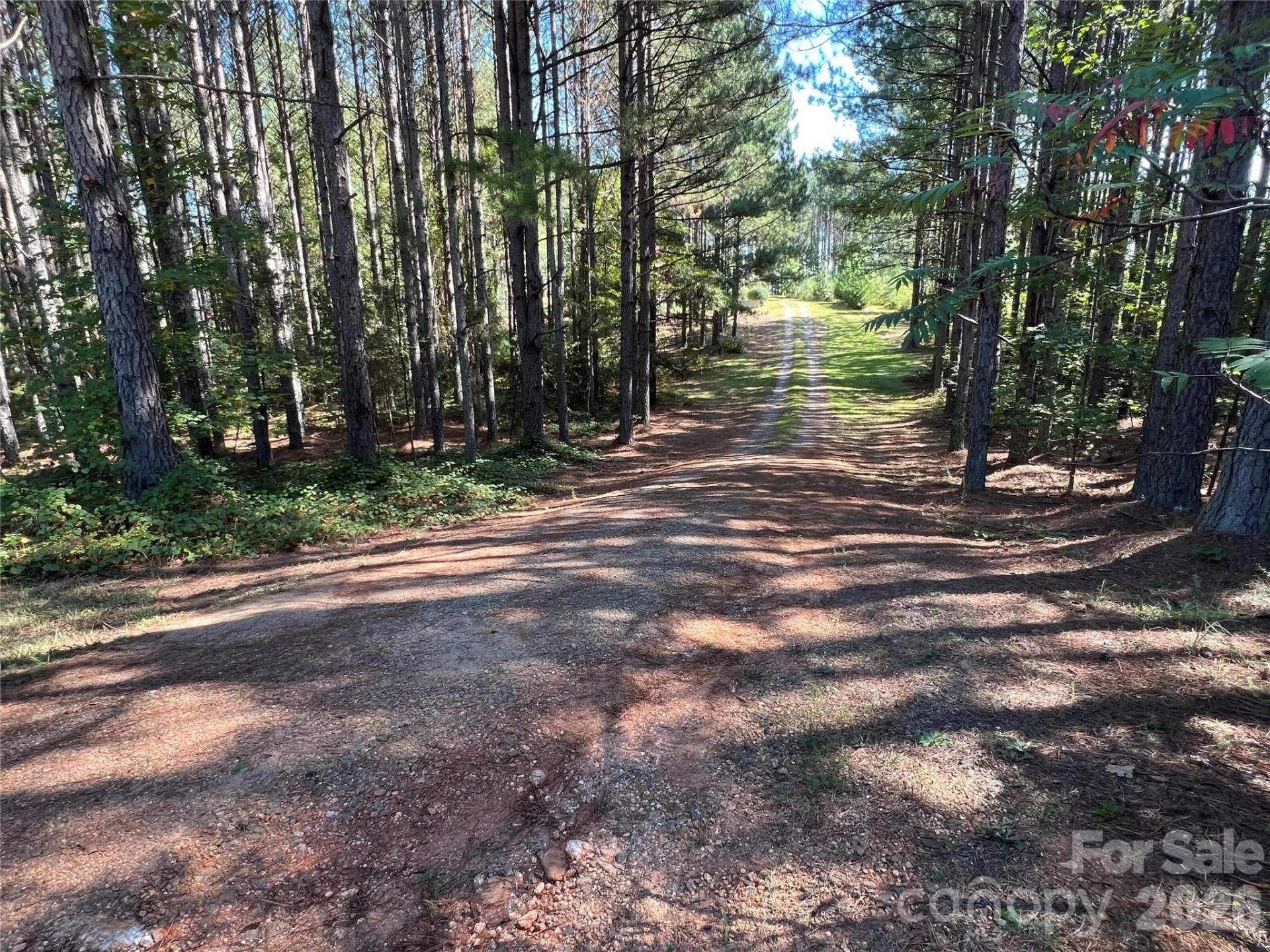 651 Dills Road - Photo 31