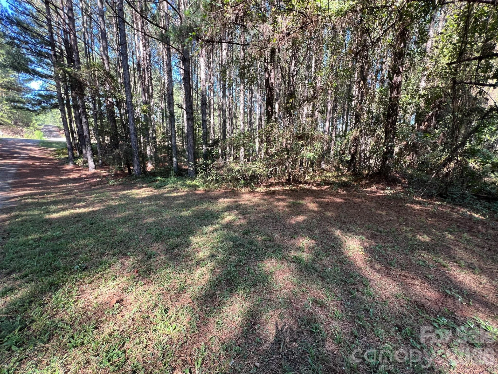 651 Dills Road - Photo 34