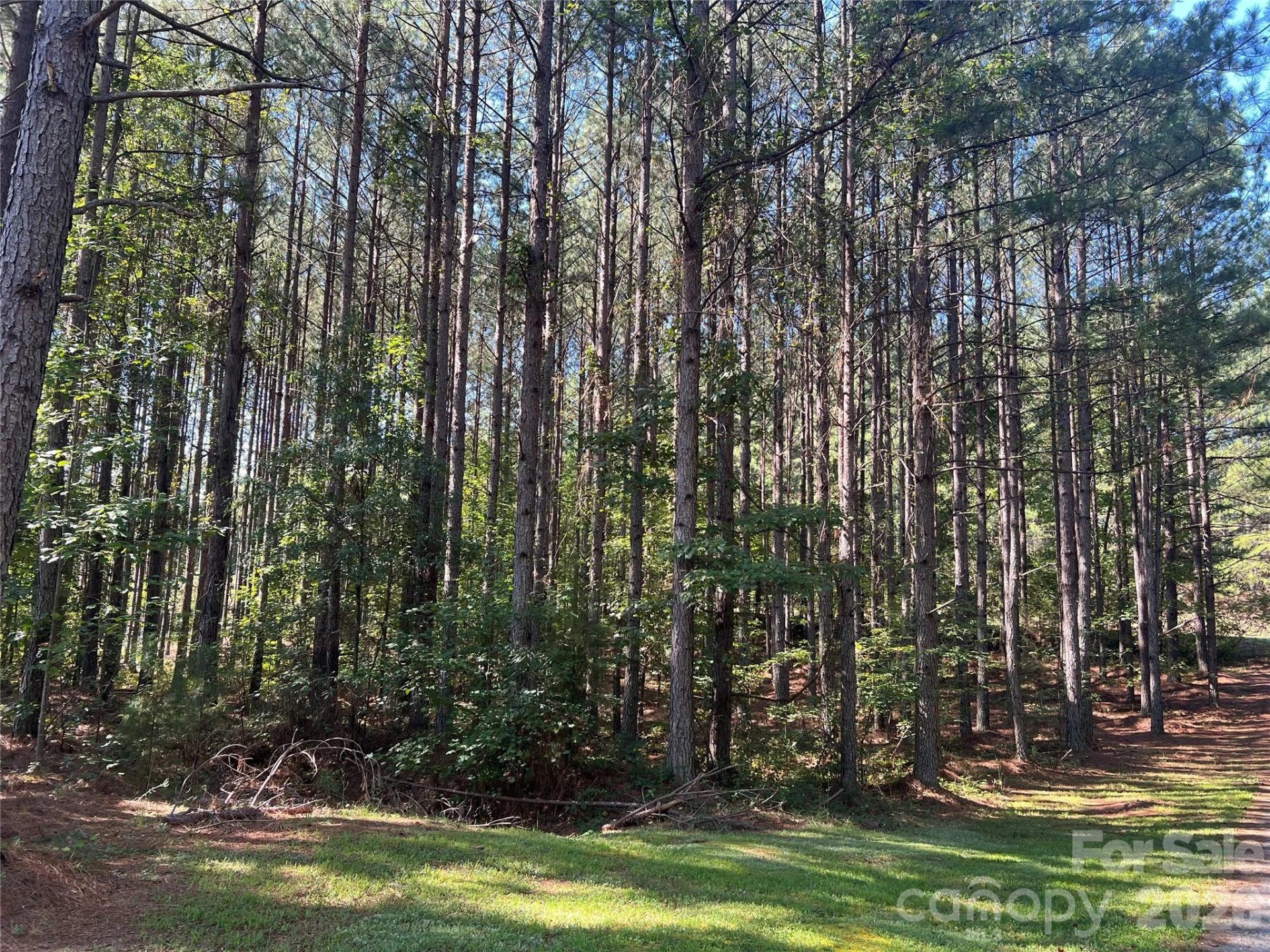 651 Dills Road - Photo 35