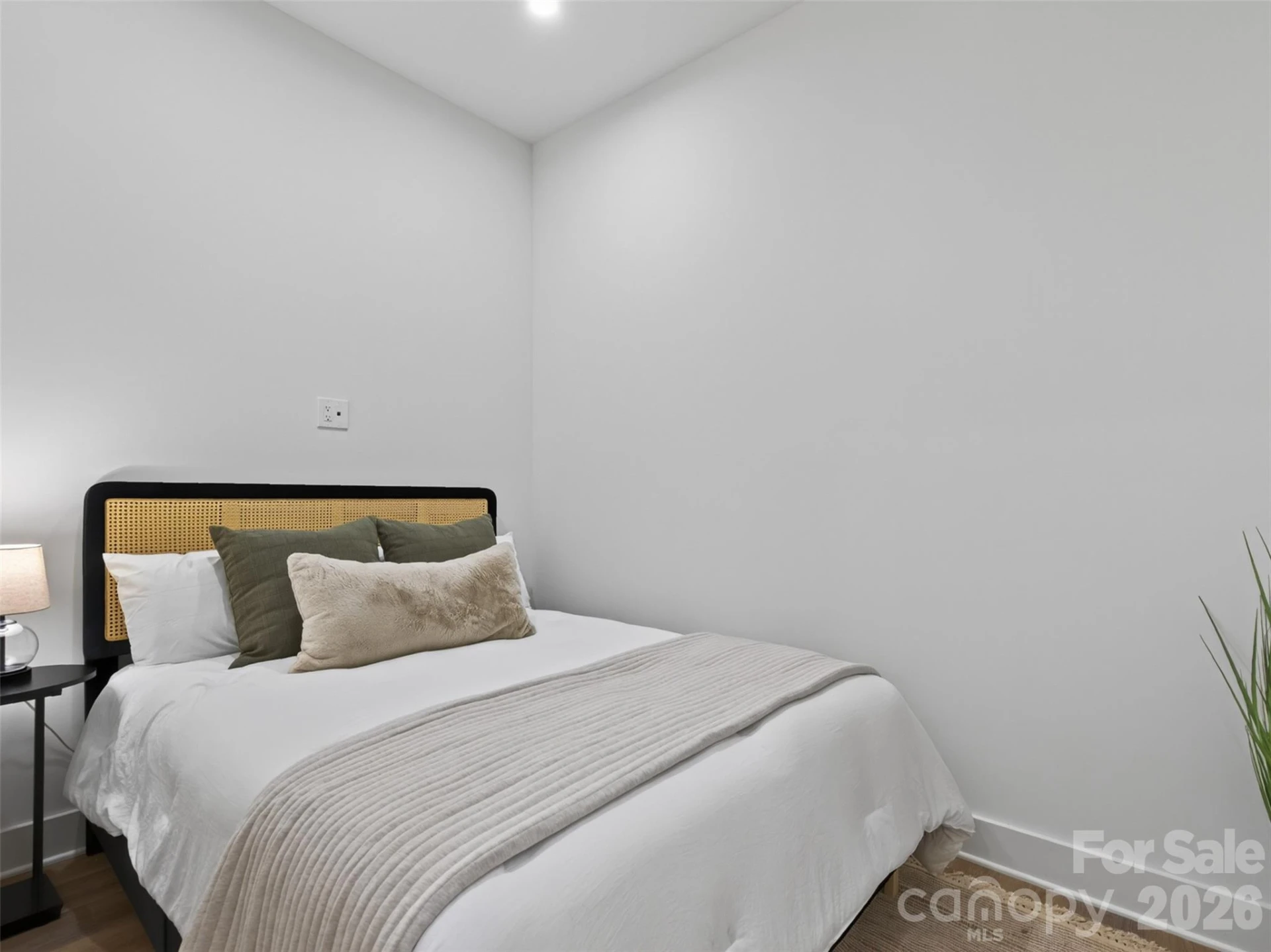 123 Haywood Street #204 - Photo 16