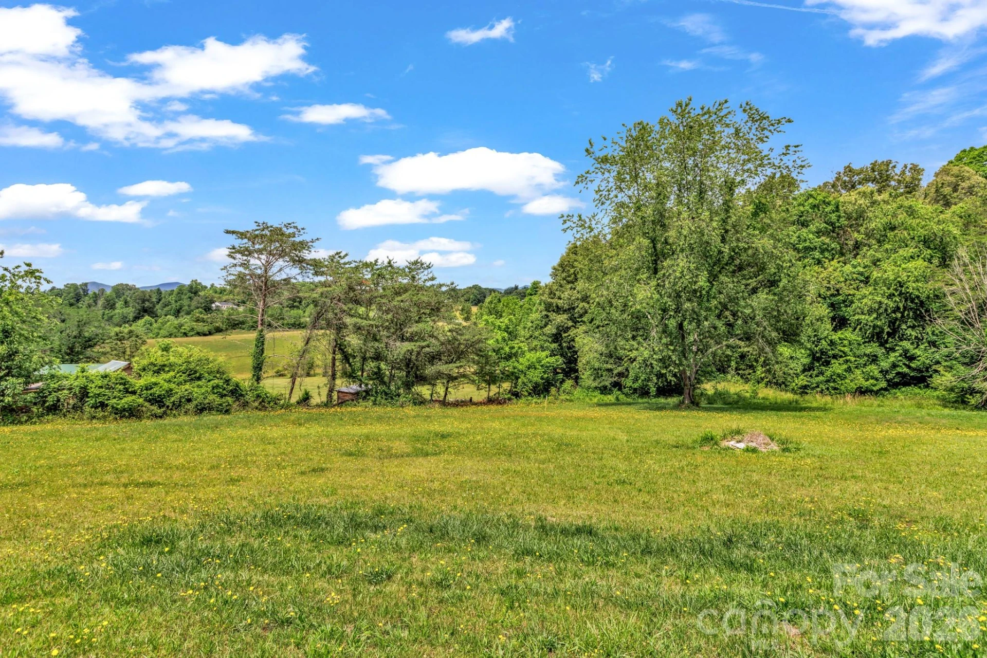 12 Green Cove Lane - Photo 19