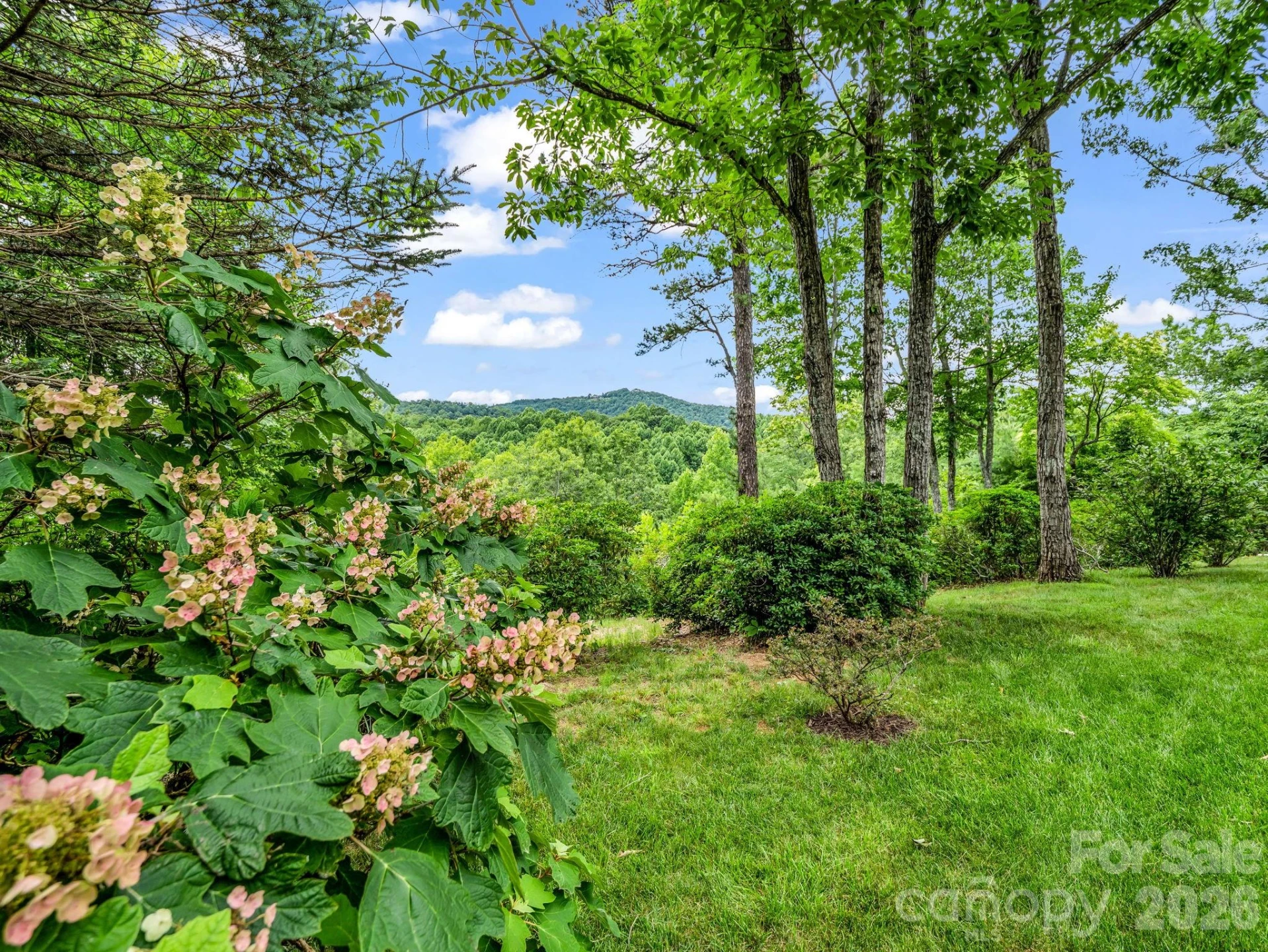 131 Arcadia Falls Way - Photo 46