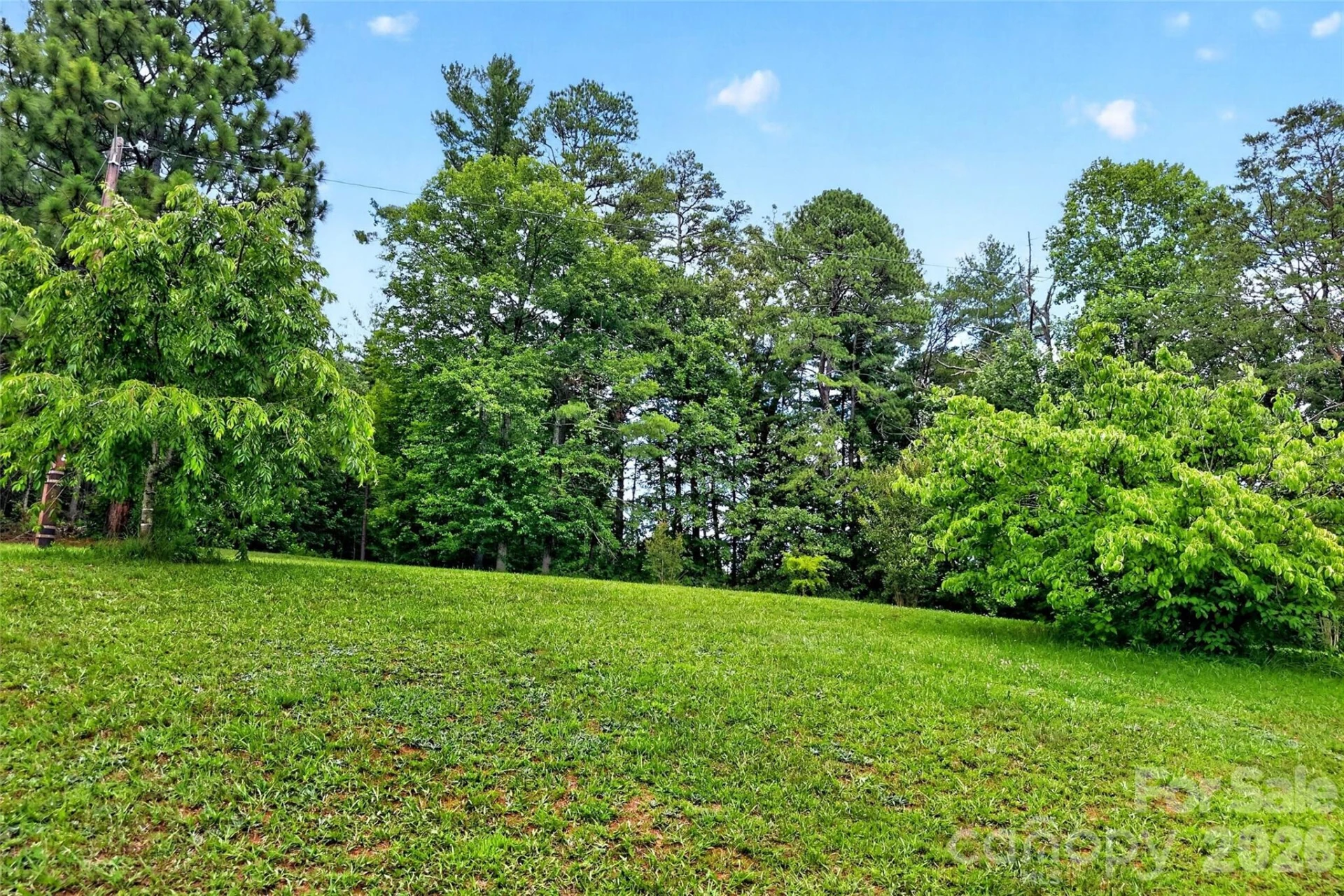 71 Green Vale Drive - Photo 35