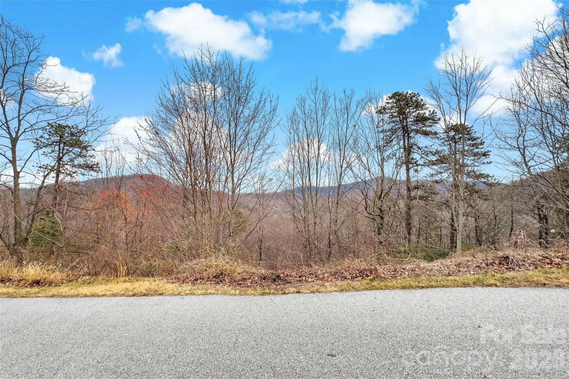 230 Catawba Falls Parkway - Photo 2