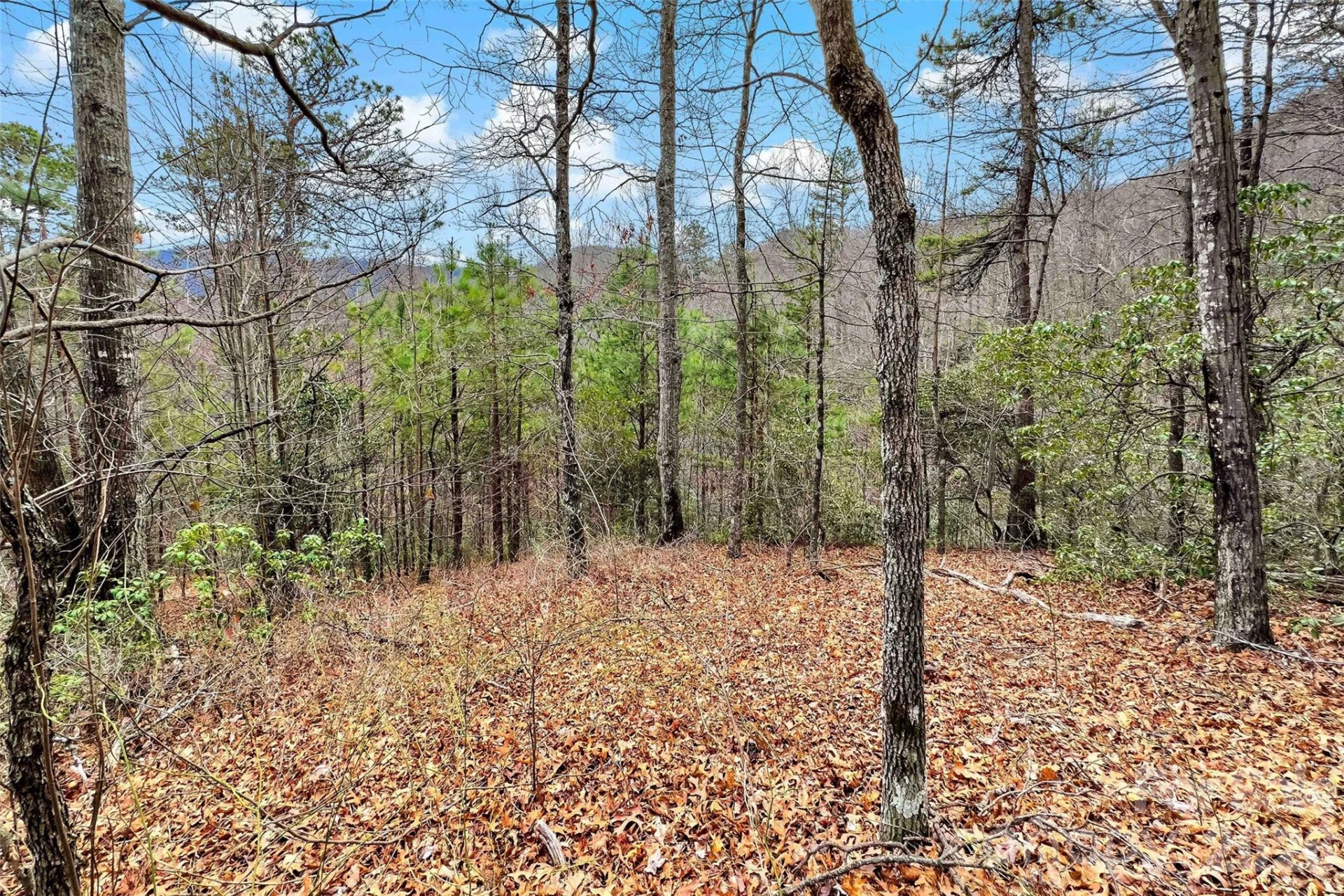 230 Catawba Falls Parkway - Photo 12
