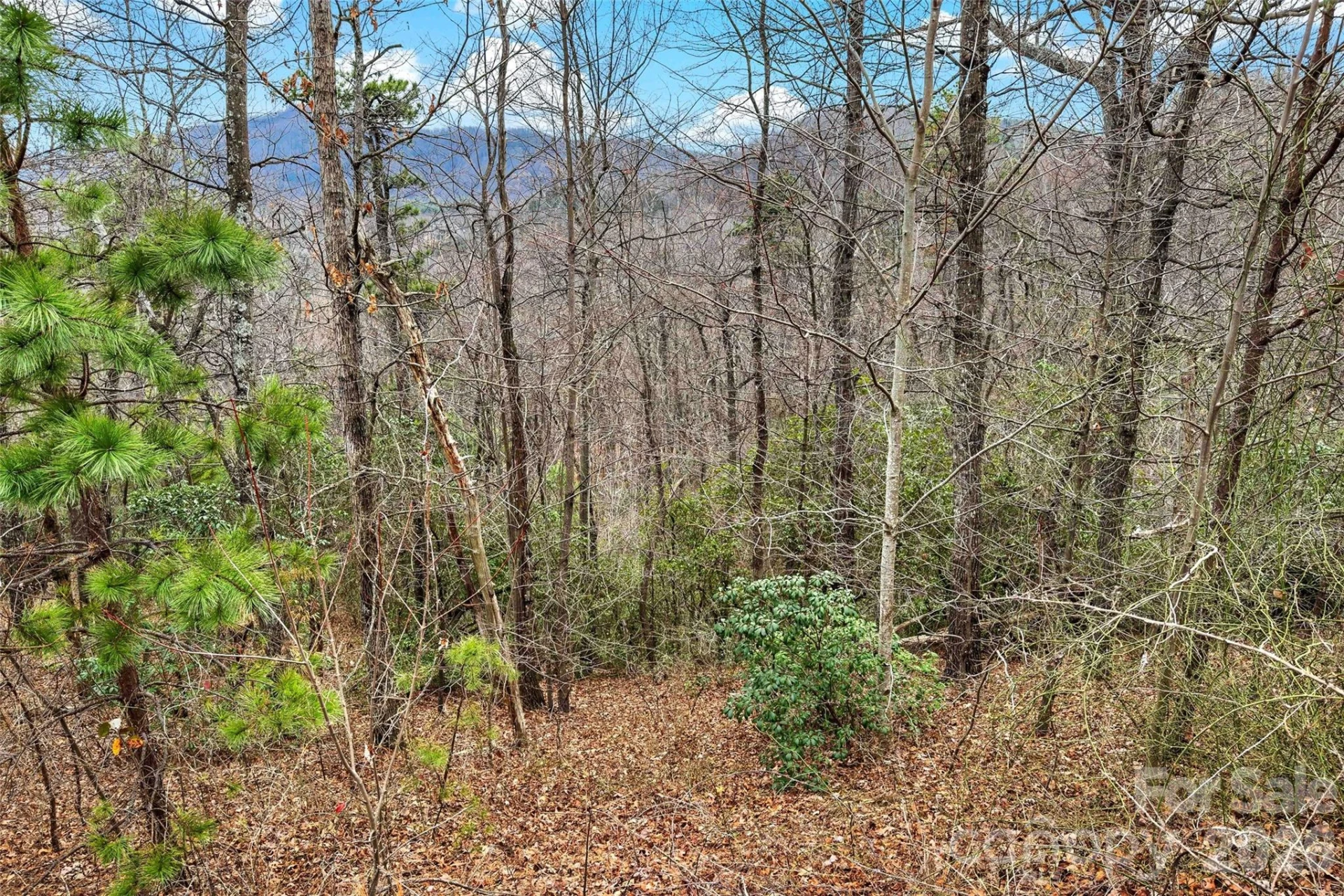 230 Catawba Falls Parkway - Photo 13