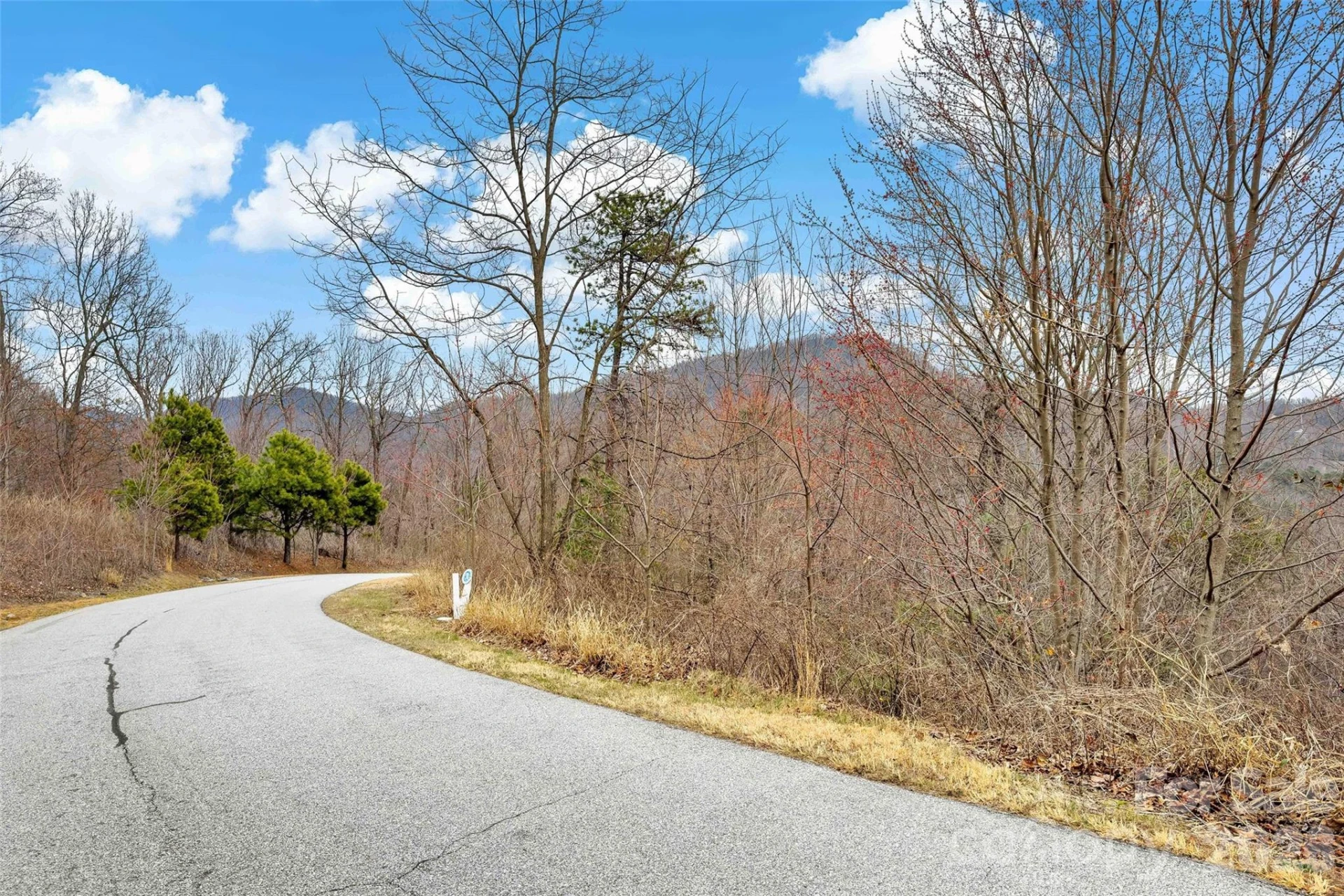 230 Catawba Falls Parkway - Photo 14