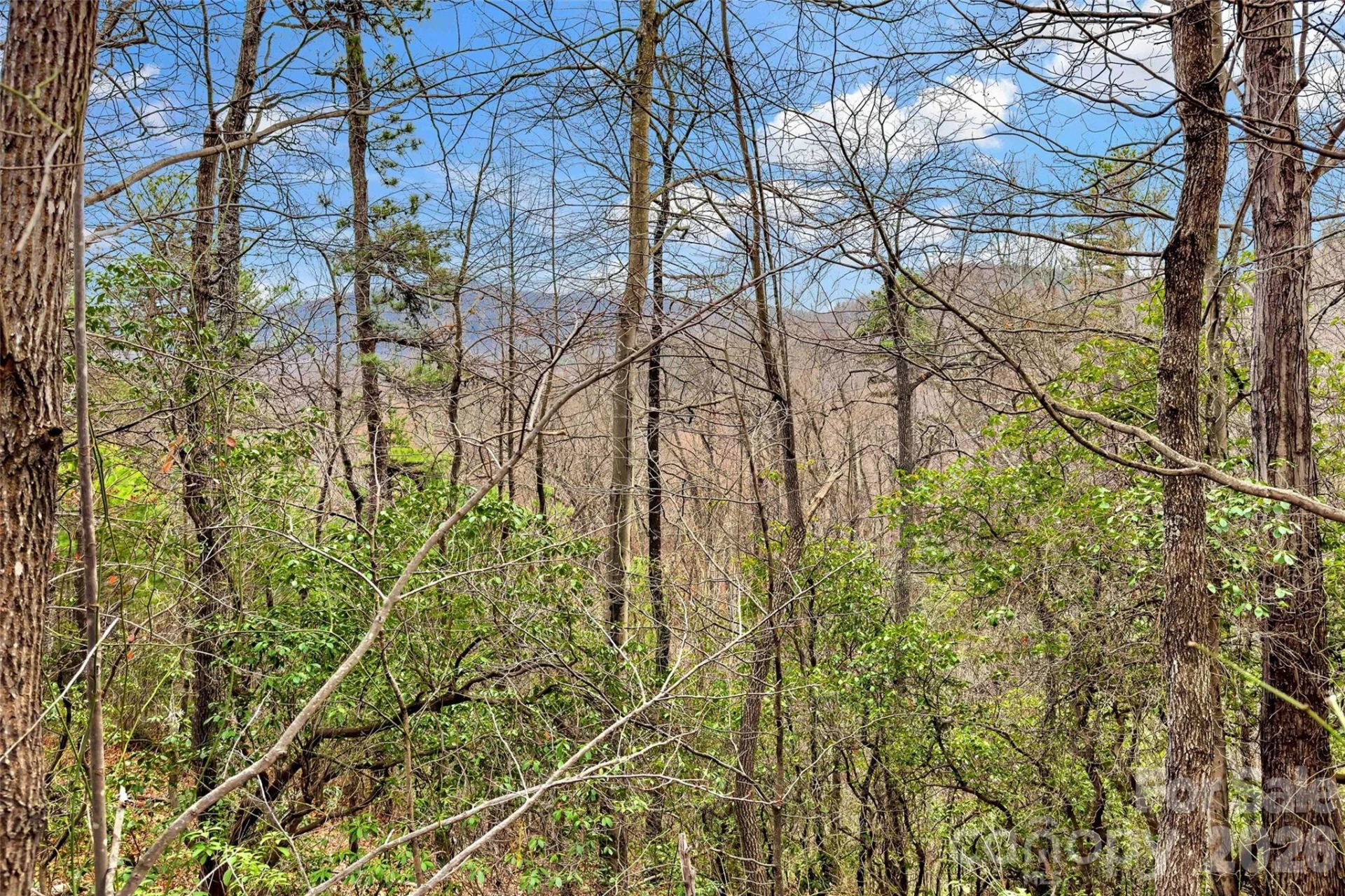230 Catawba Falls Parkway - Photo 15