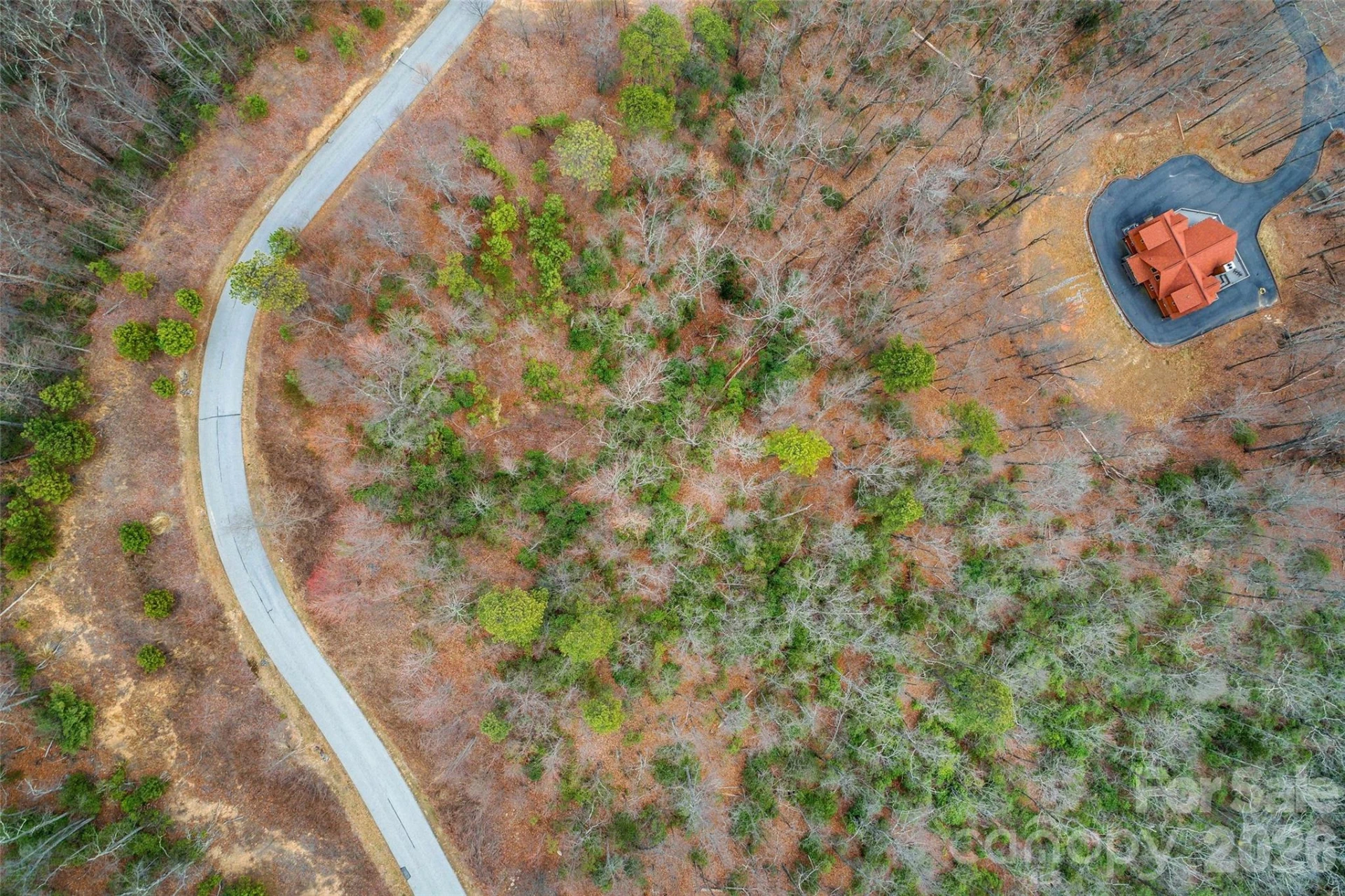 230 Catawba Falls Parkway - Photo 17