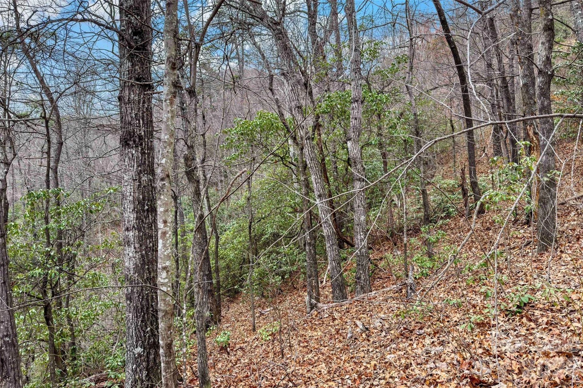 230 Catawba Falls Parkway - Photo 19