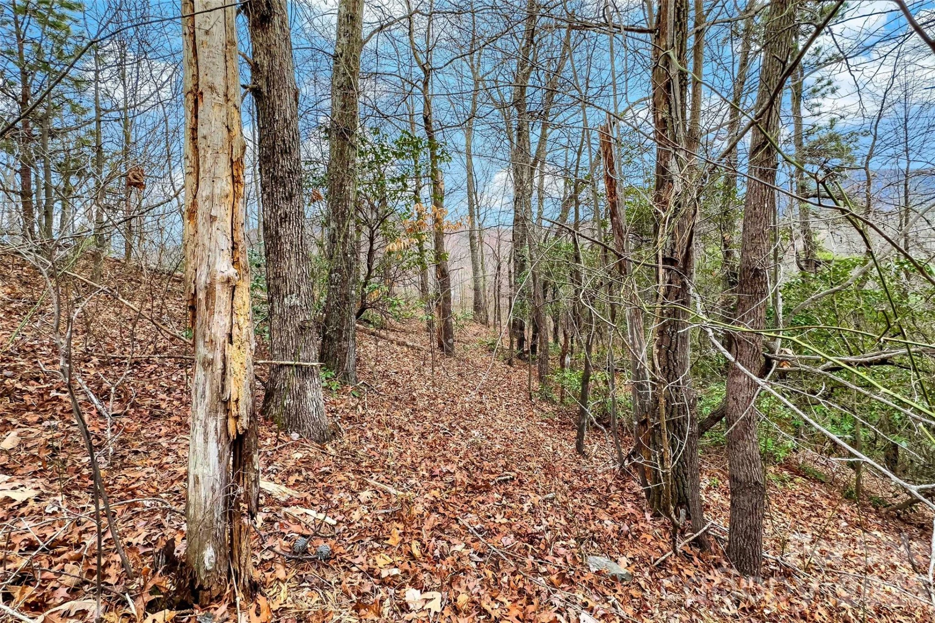 230 Catawba Falls Parkway - Photo 22