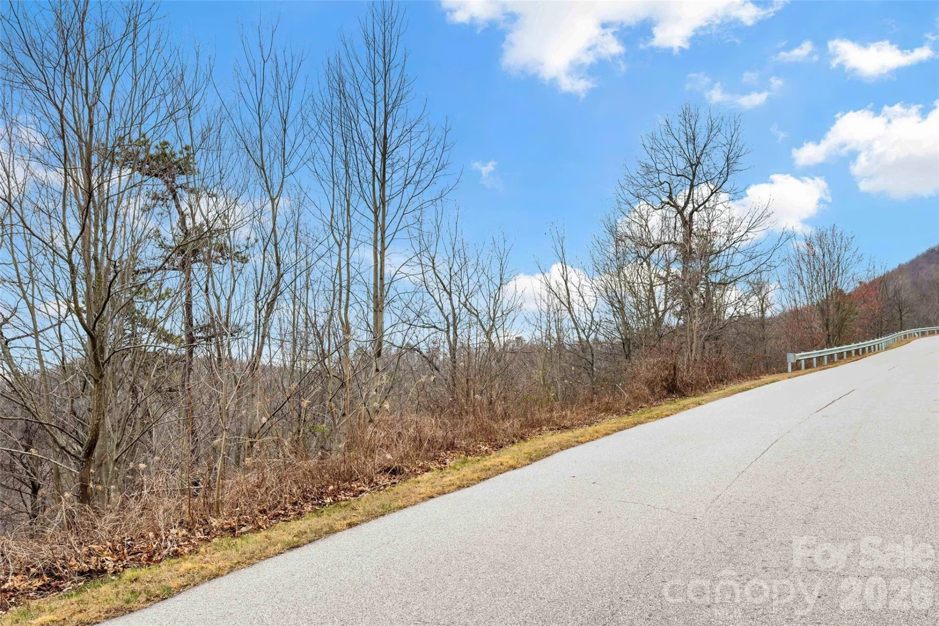 230 Catawba Falls Parkway - Photo 4
