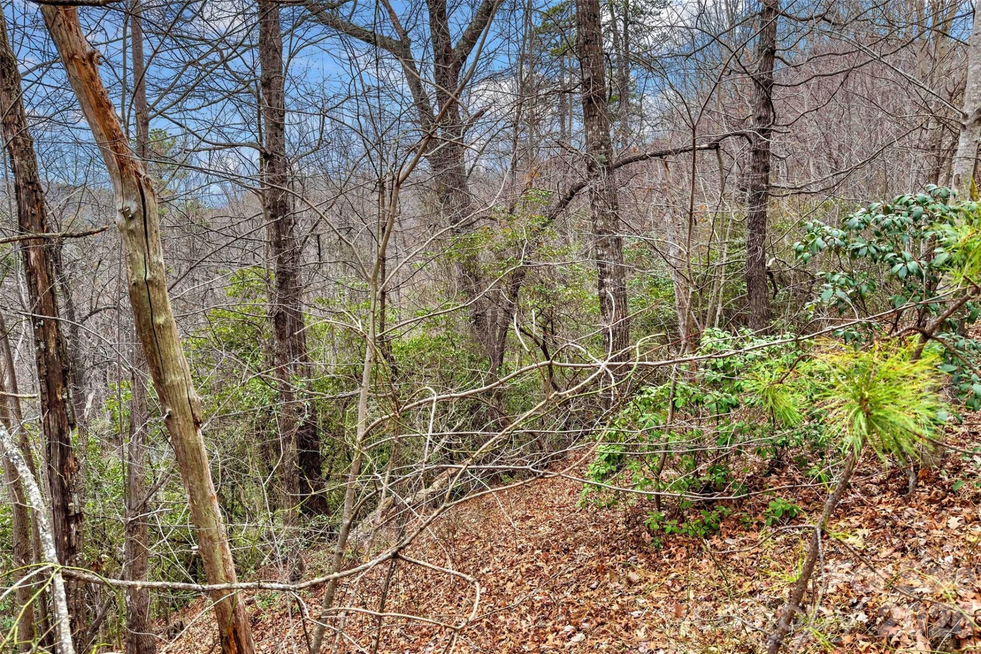 230 Catawba Falls Parkway - Photo 6