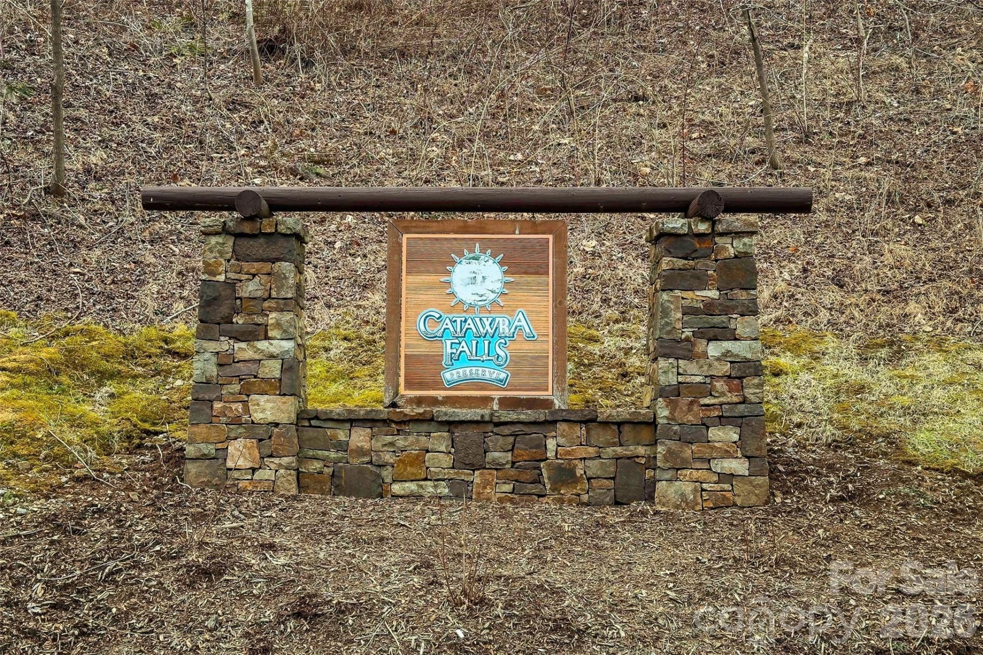 230 Catawba Falls Parkway - Photo 7
