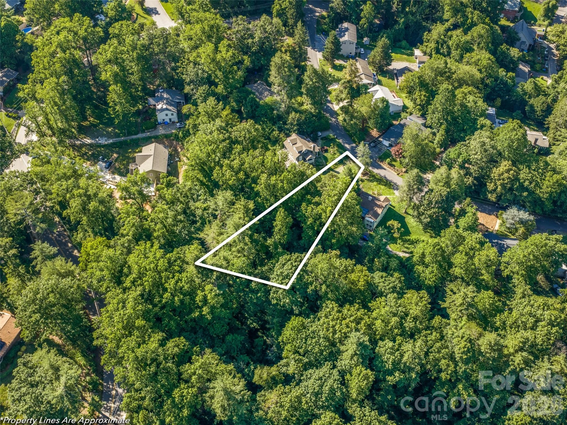 103 Aurora Drive #2 - Photo 4