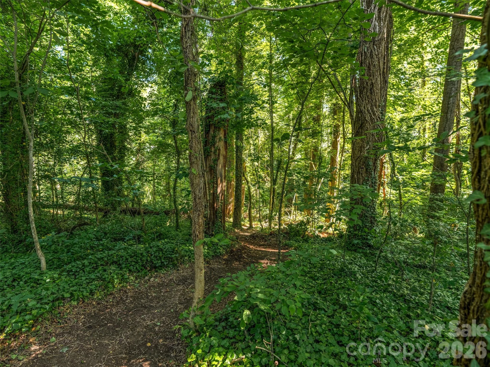 103 Aurora Drive #2 - Photo 6
