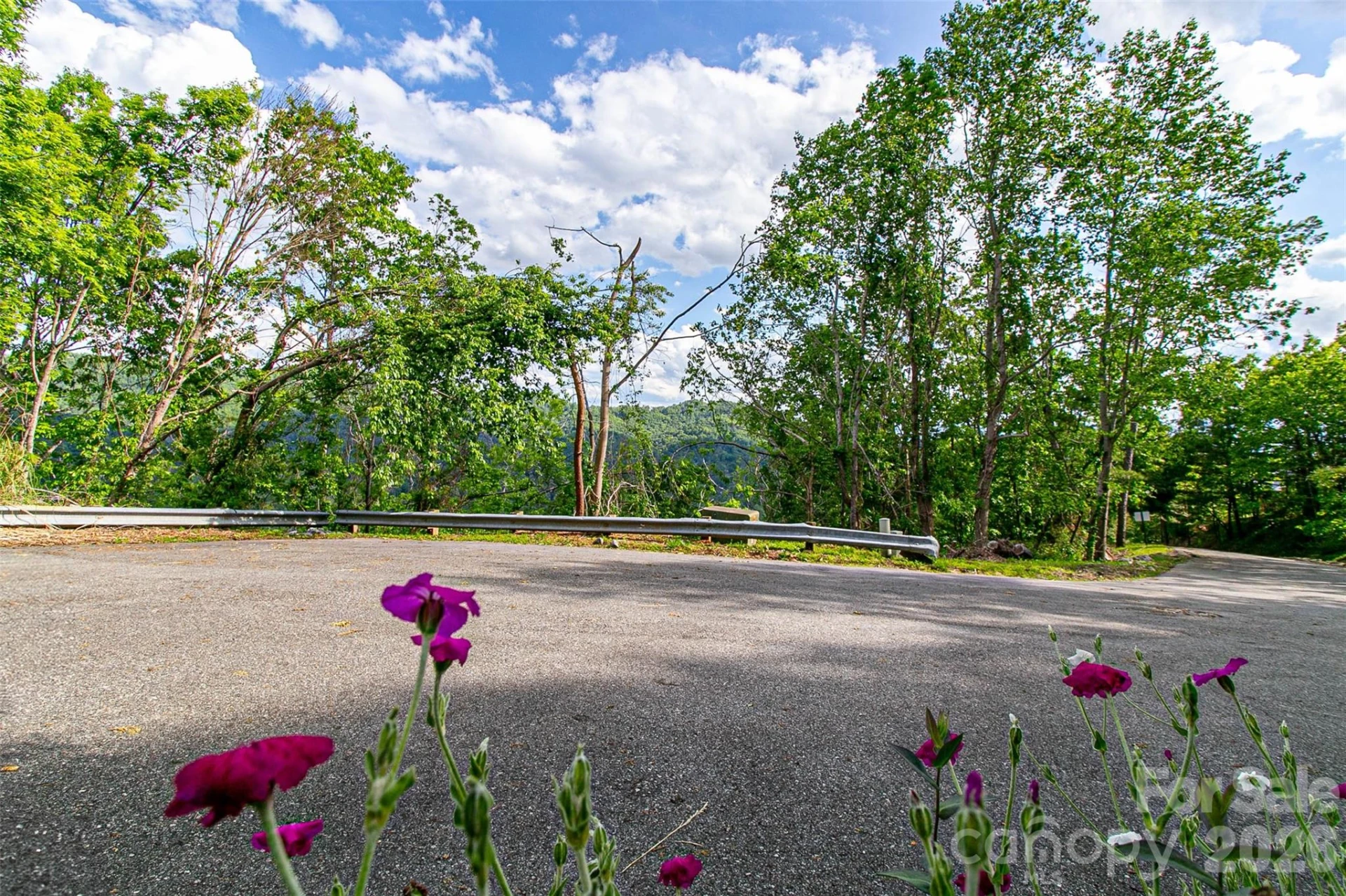 99999 BLACK OAK Drive #13 - Photo 2