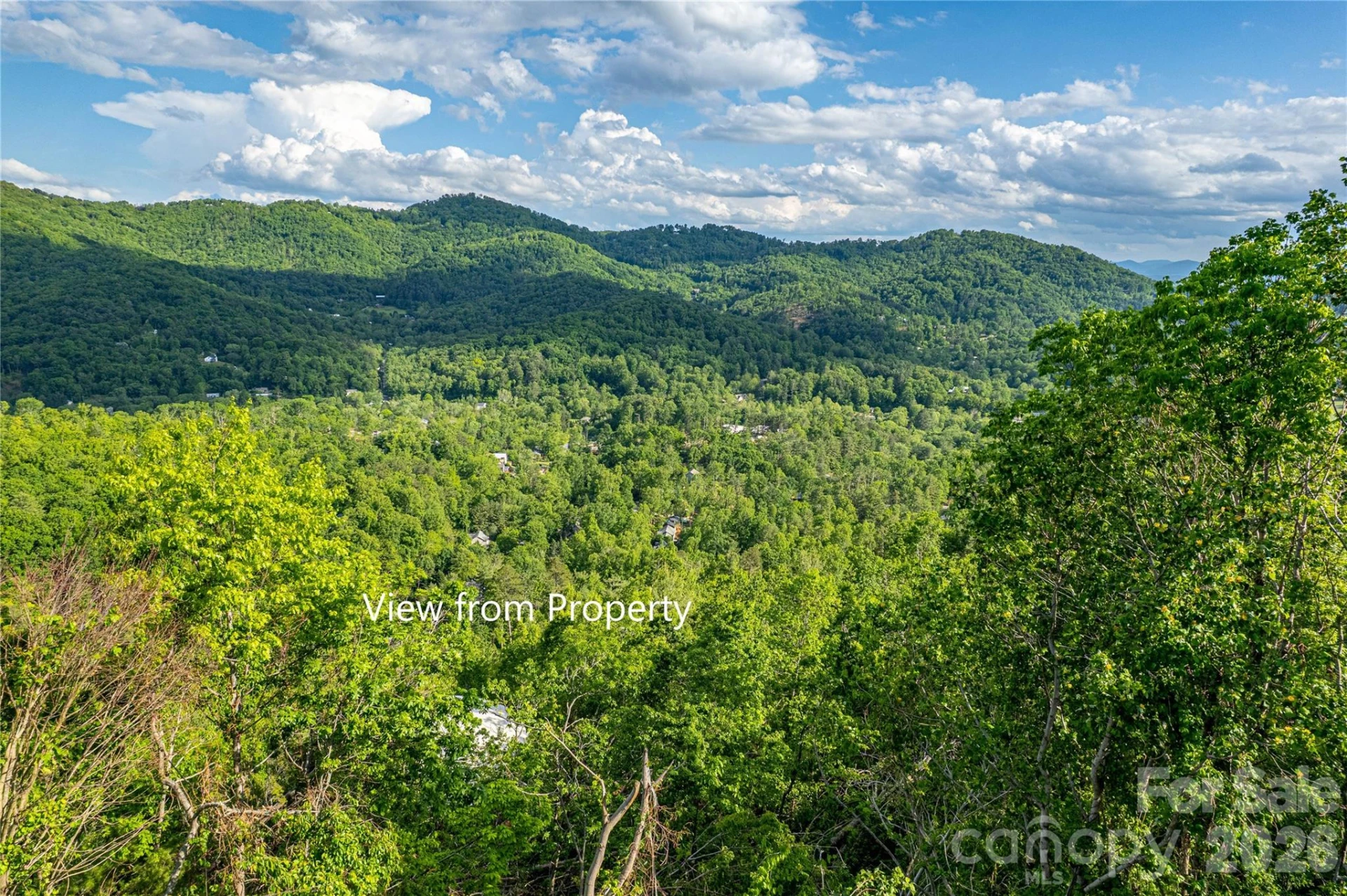 99999 BLACK OAK Drive #13 - Photo 6