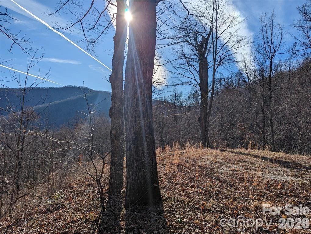 351 Kestrel Lane #T-67 - Photo 12