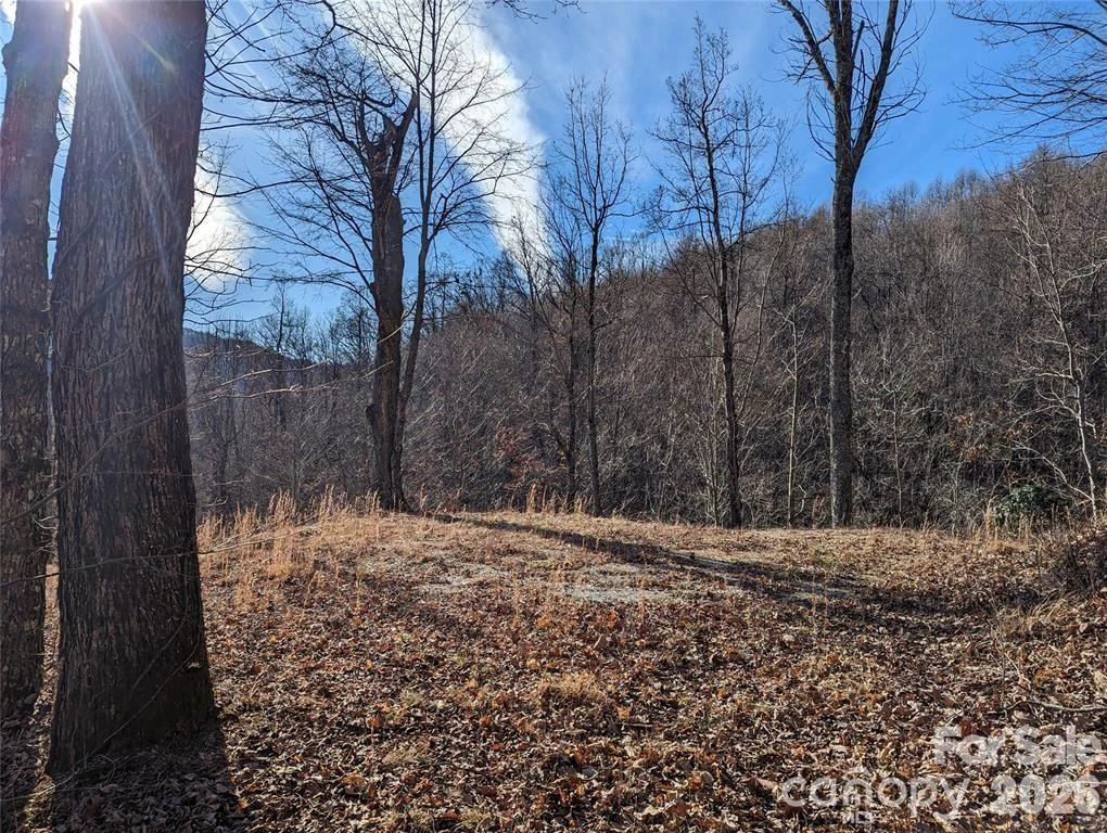 351 Kestrel Lane #T-67 - Photo 13