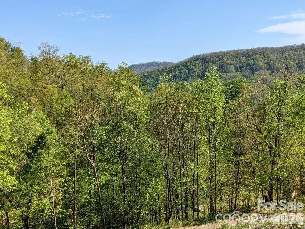 351 Kestrel Lane #T-67 - Photo 4