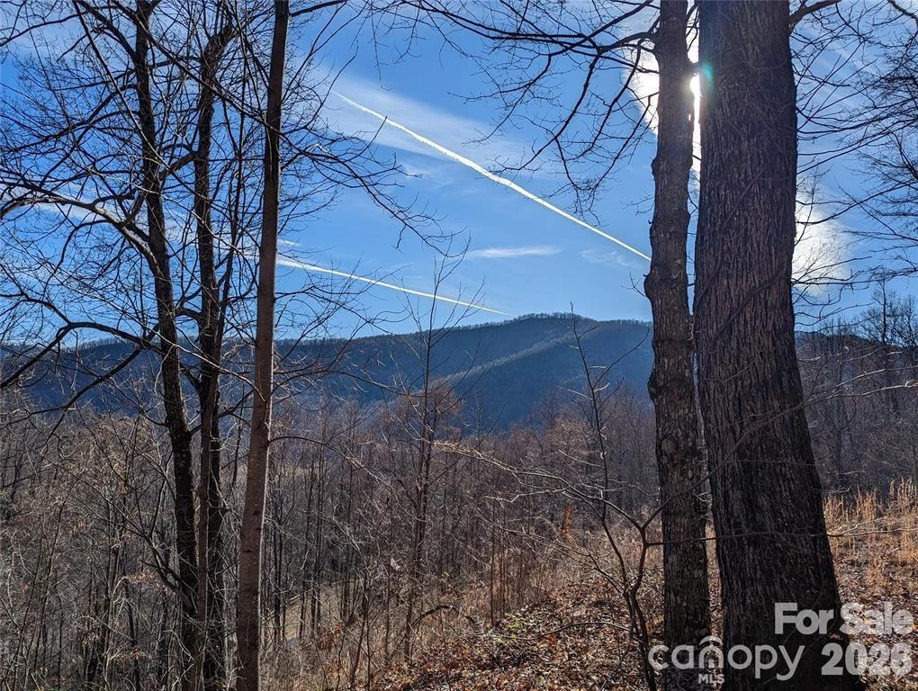 351 Kestrel Lane #T-67 - Photo 8