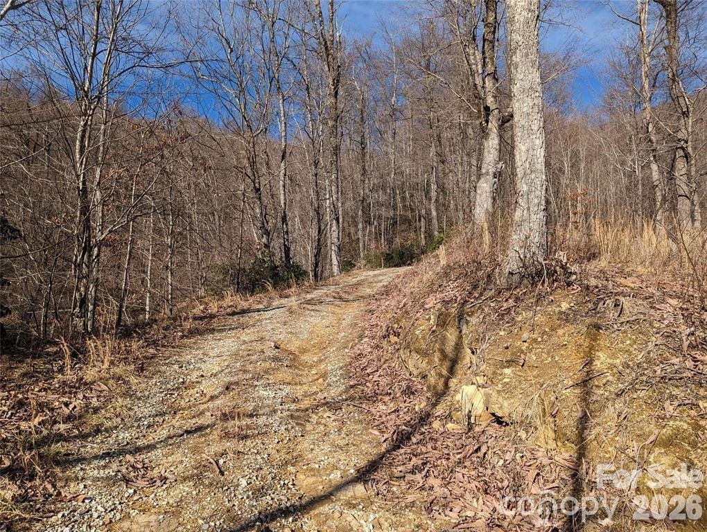 351 Kestrel Lane #T-67 - Photo 10